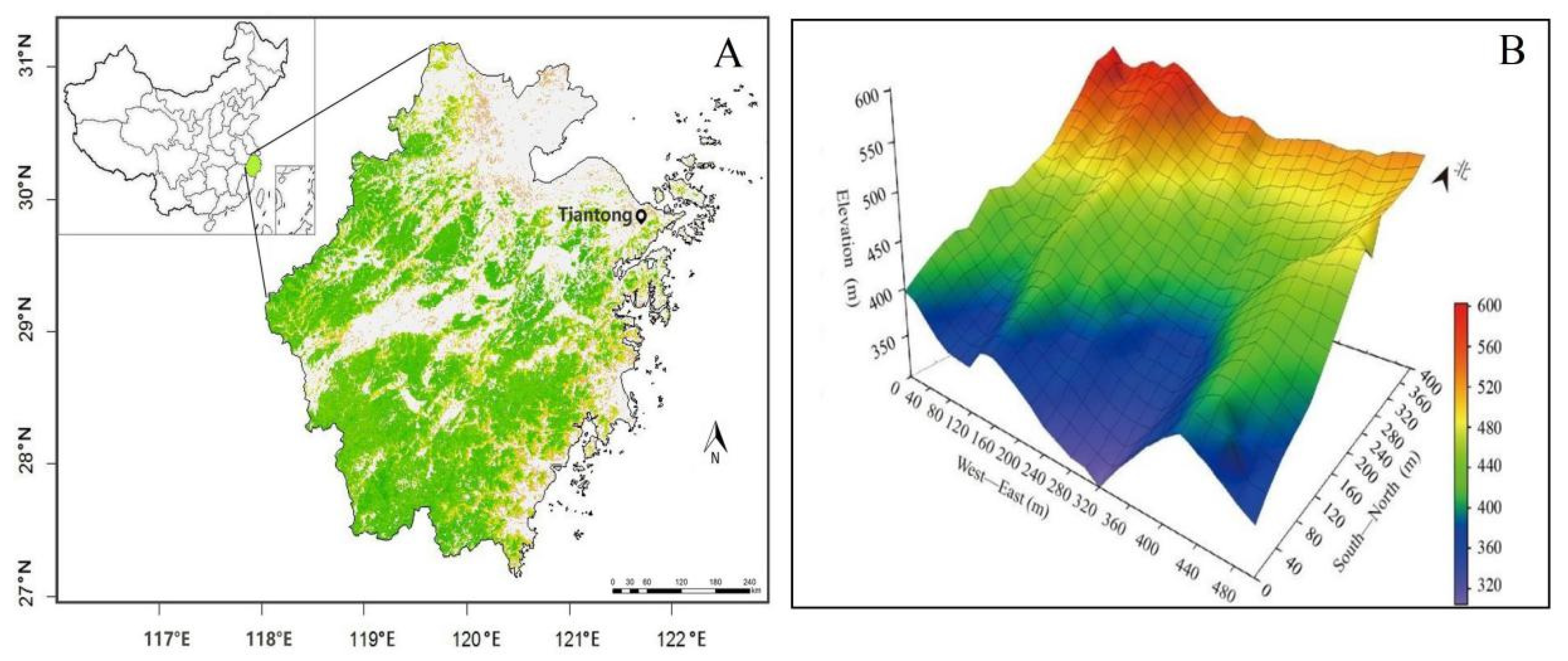 Forests 12 00998 g001