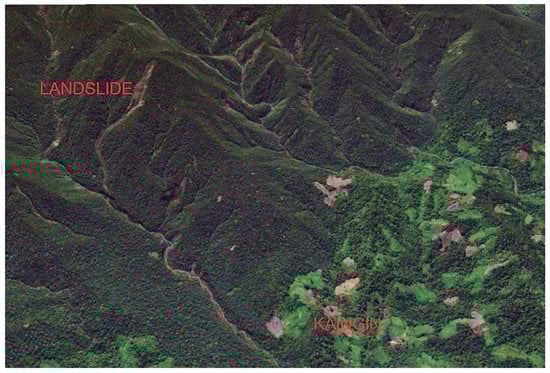 Forests 12 01008 g0a2 550