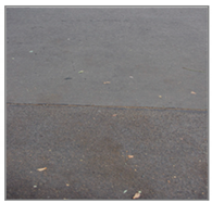 Forests 12 01010 i004