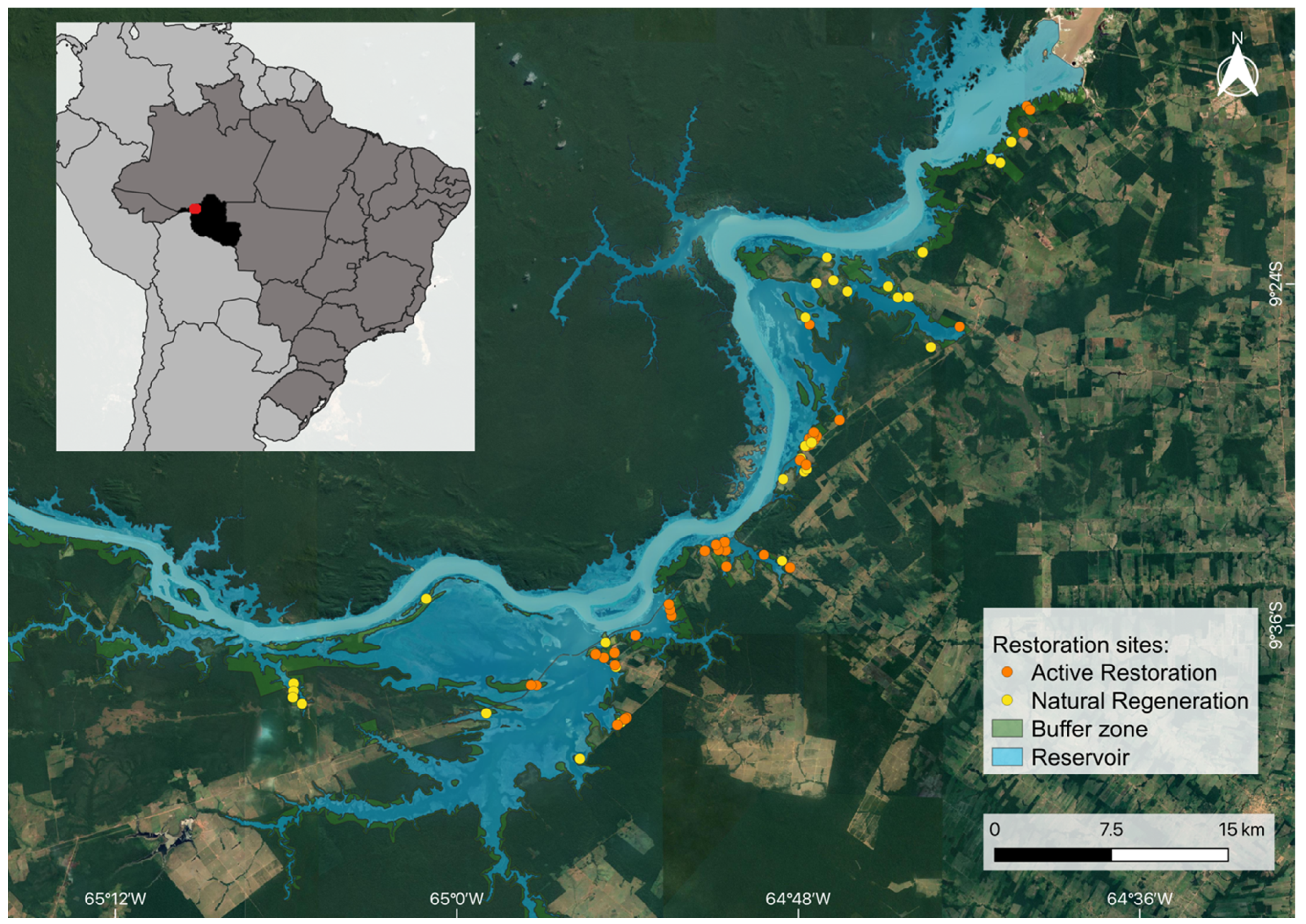 Forests 12 01022 g001