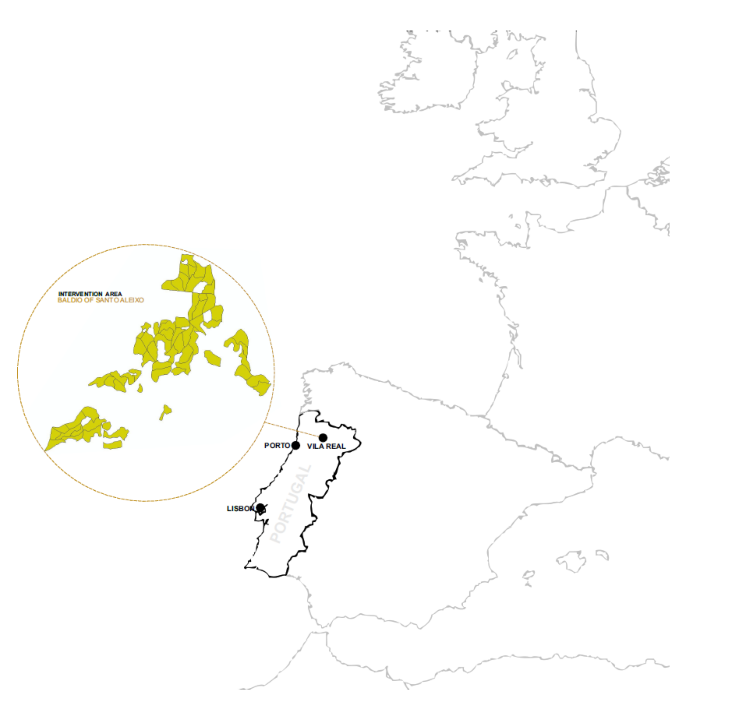 Forests 12 01031 g001