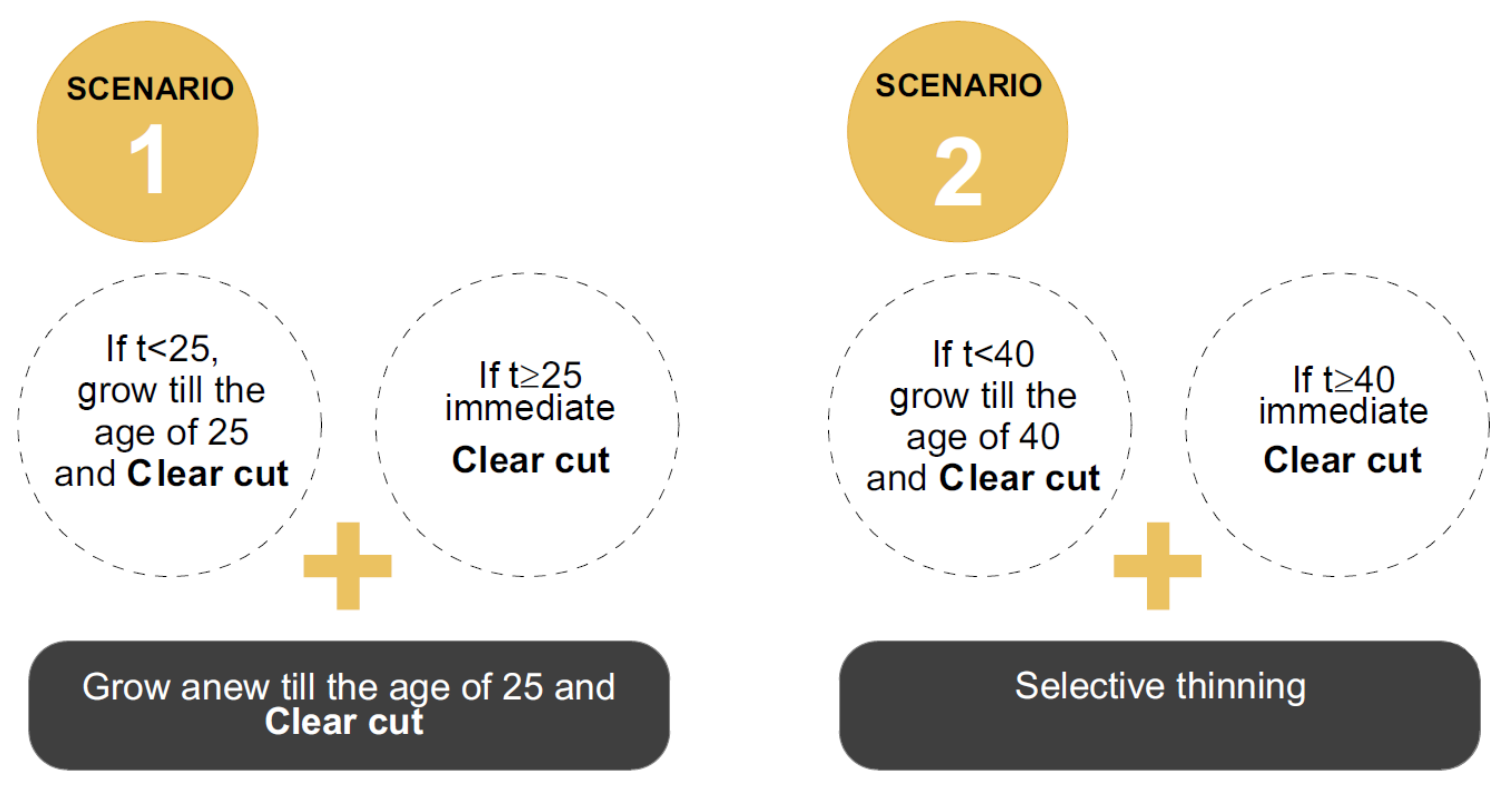 Forests 12 01031 g002