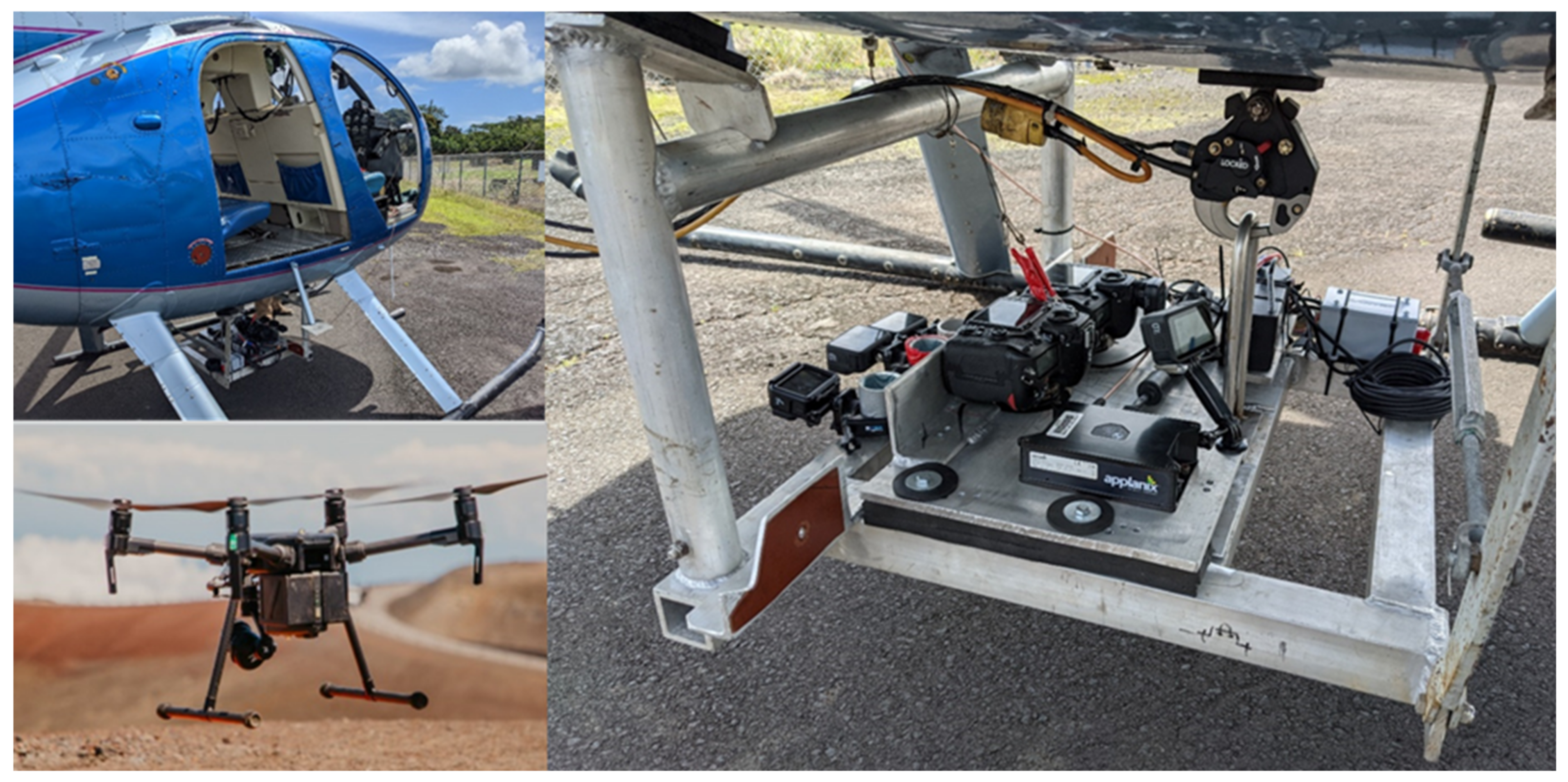 Forests 12 01035 g003