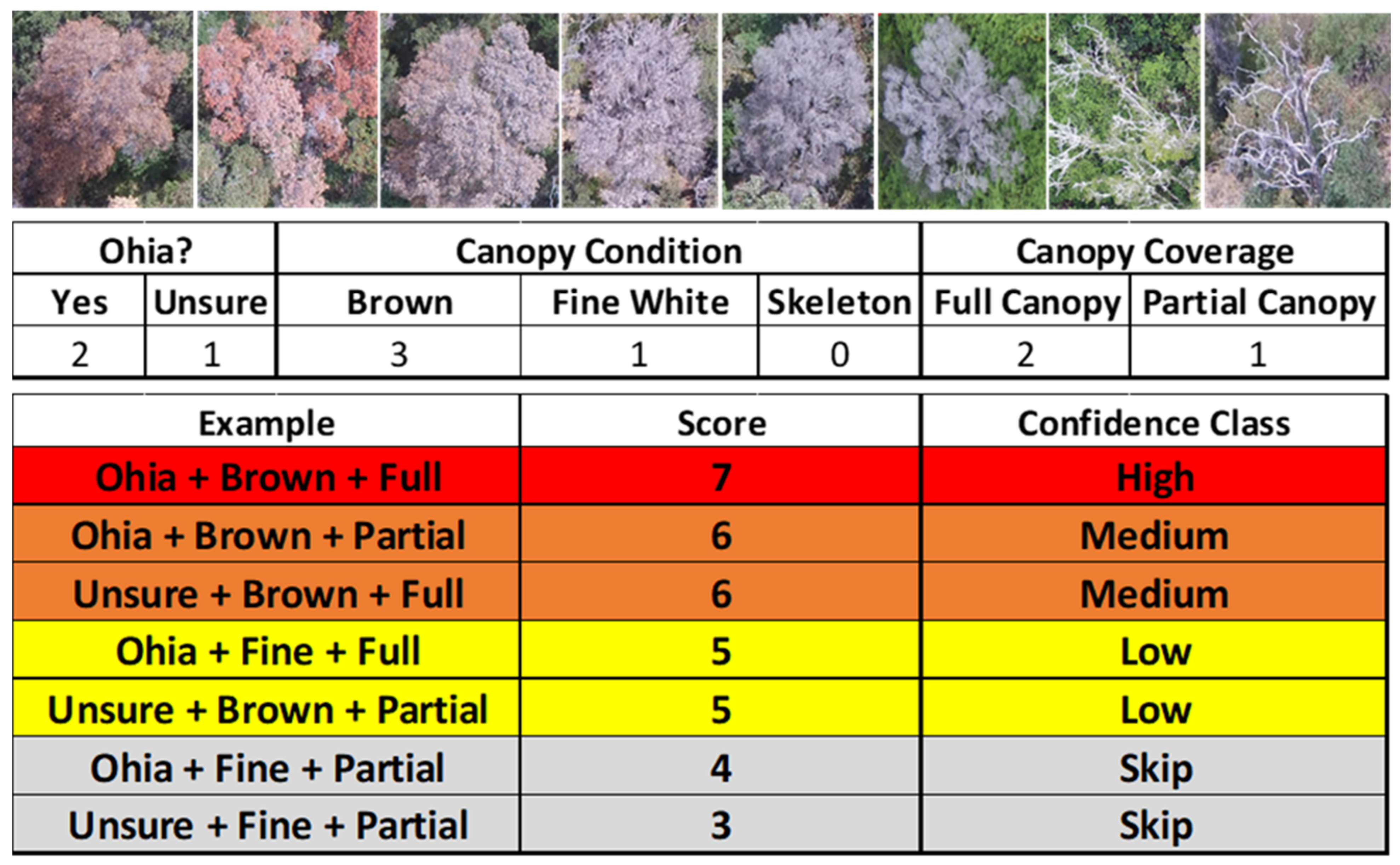 Forests 12 01035 g004