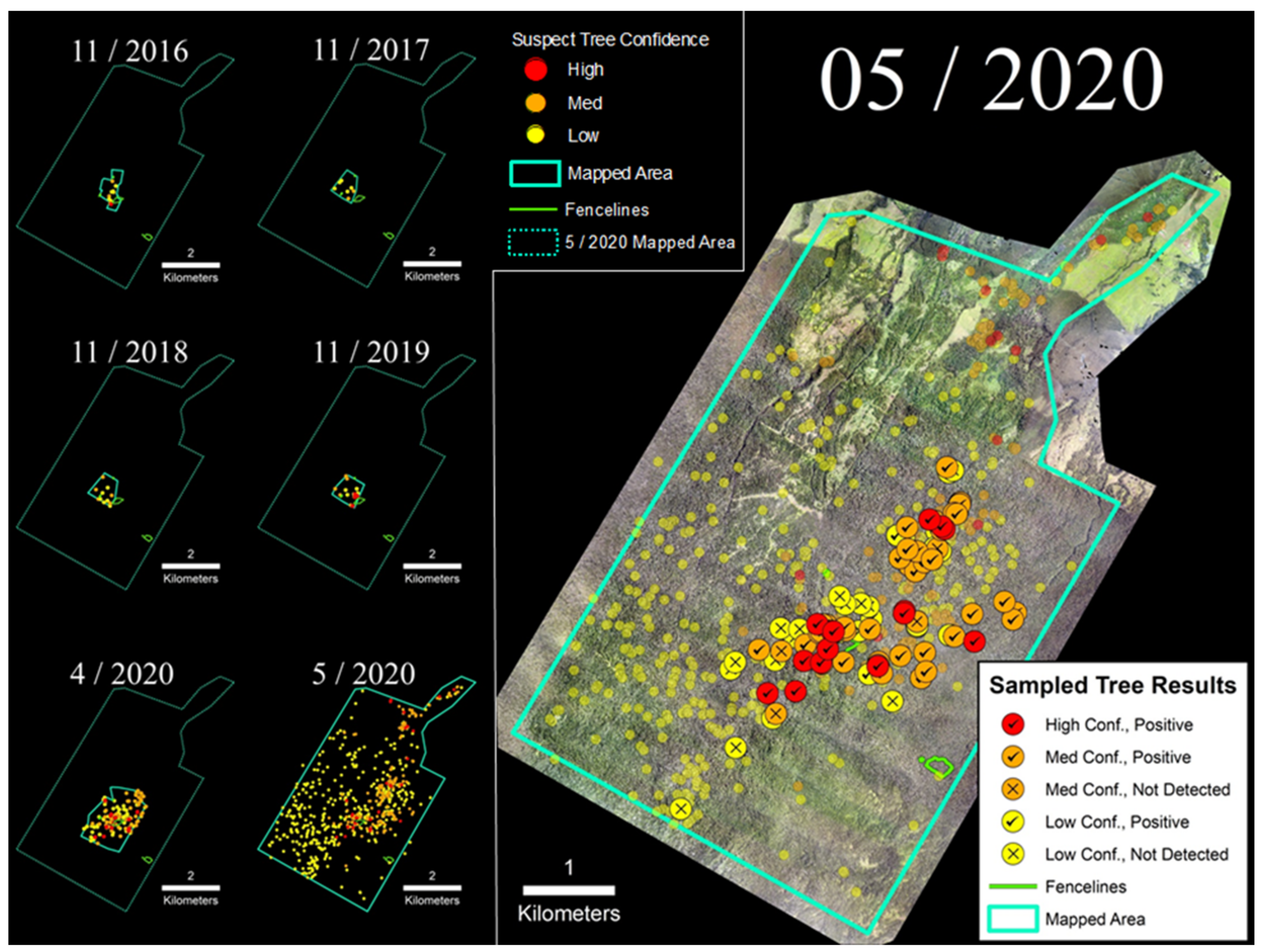 Forests 12 01035 g005