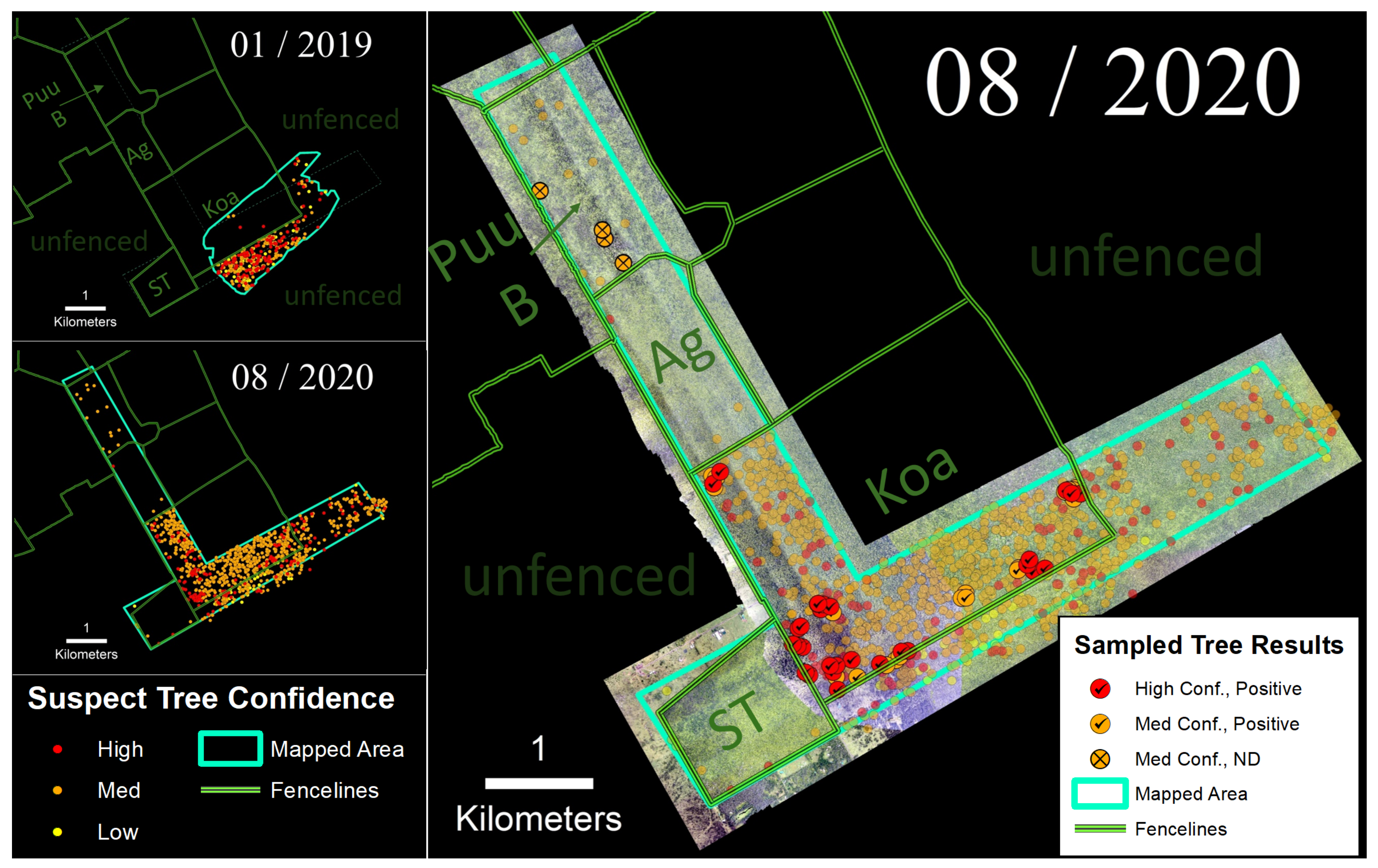 Forests 12 01035 g006