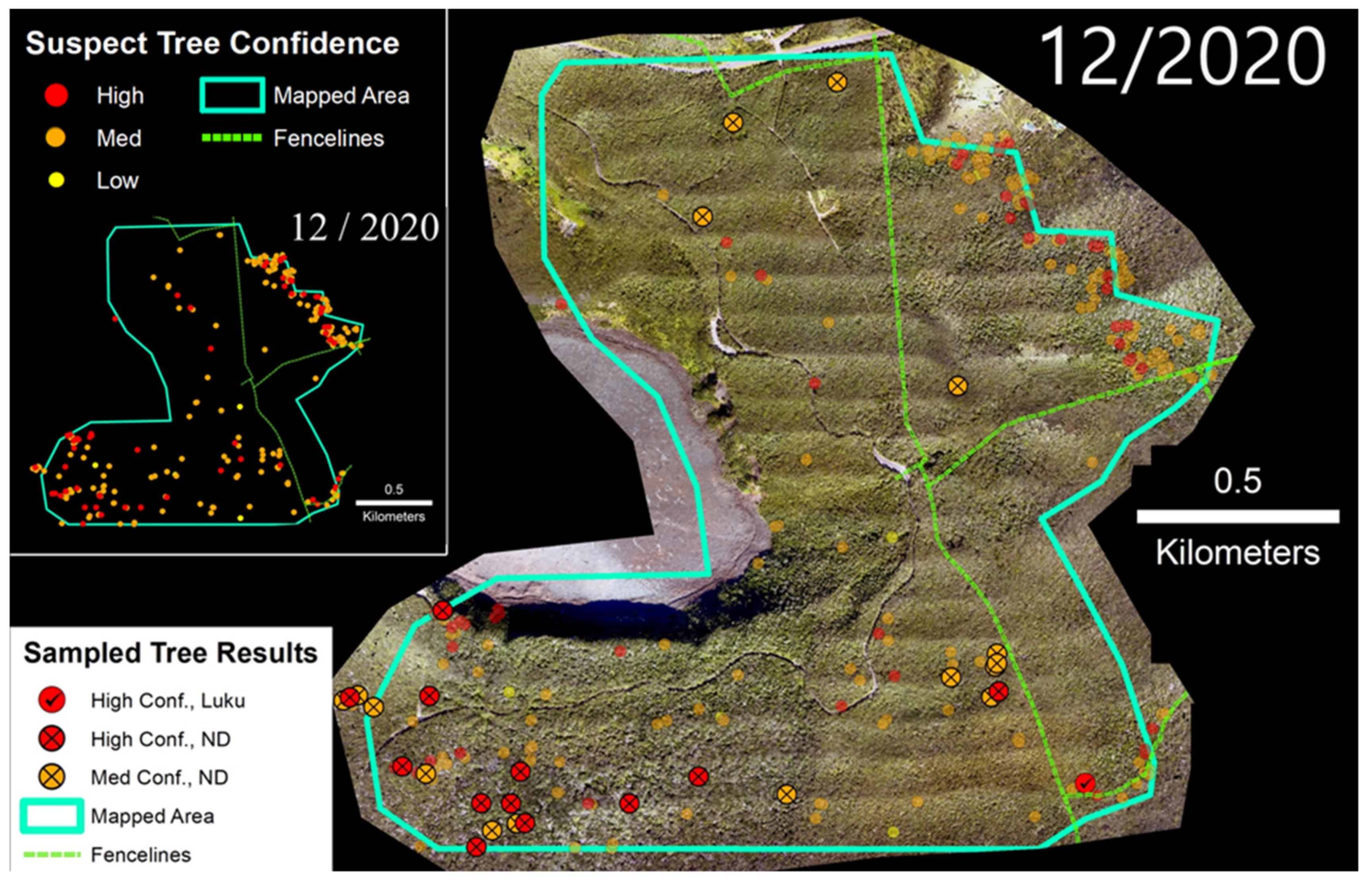 Forests 12 01035 g008