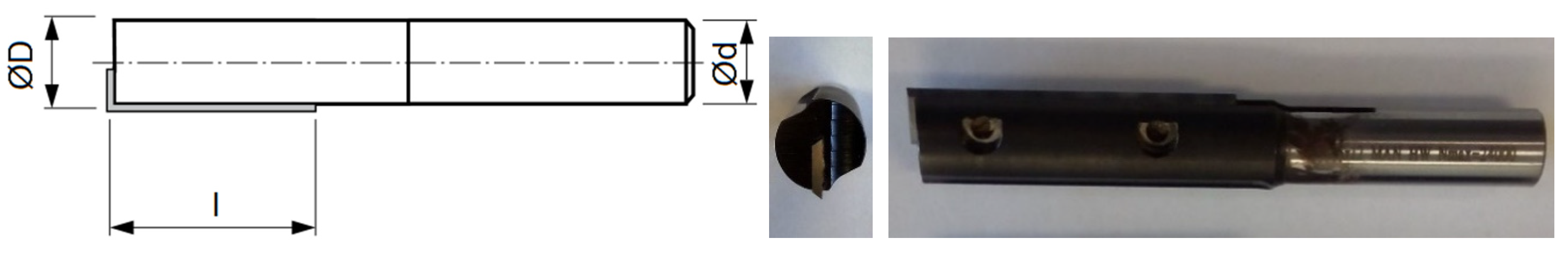 Forests 12 01039 g001