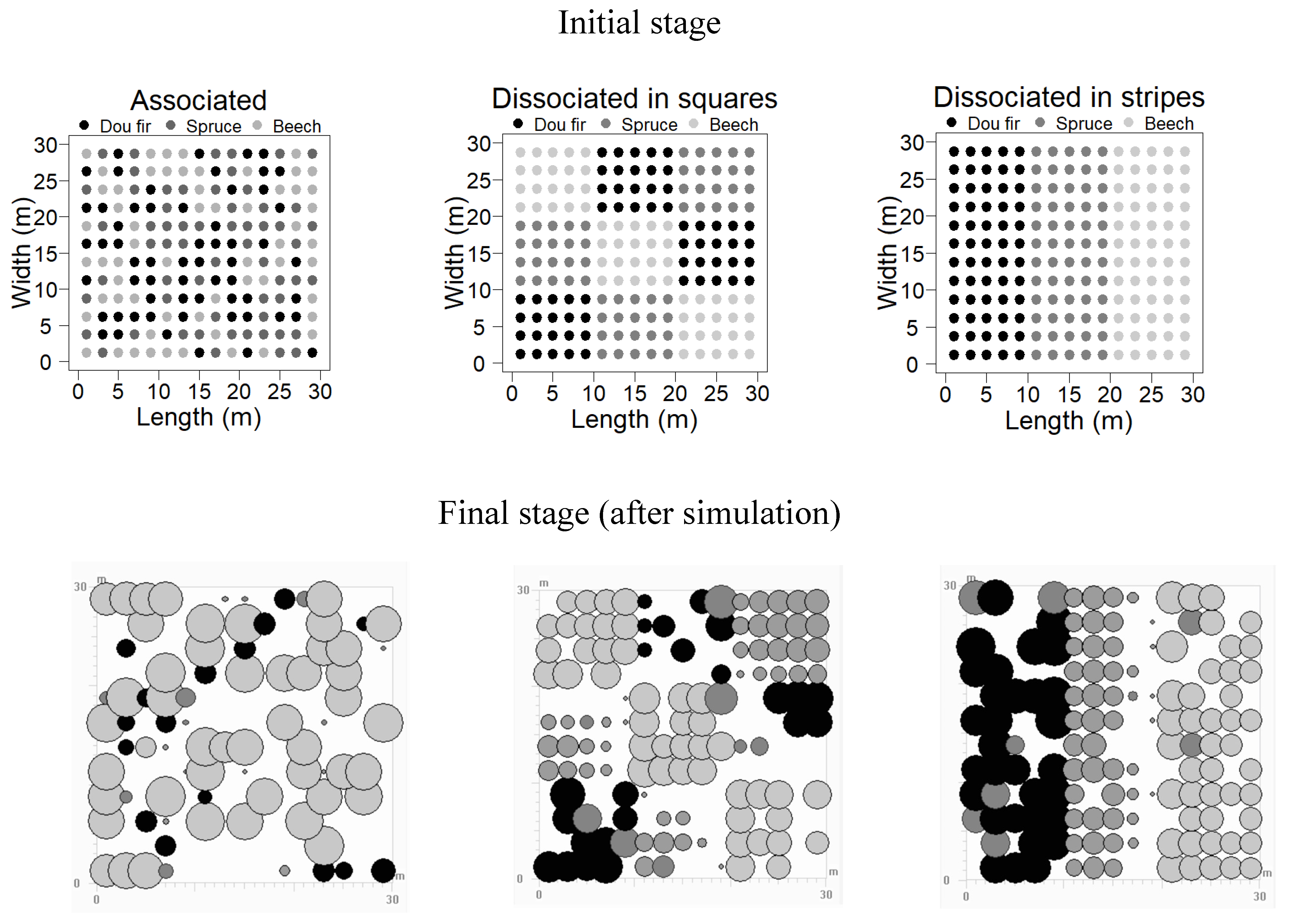 Forests 12 01040 g001