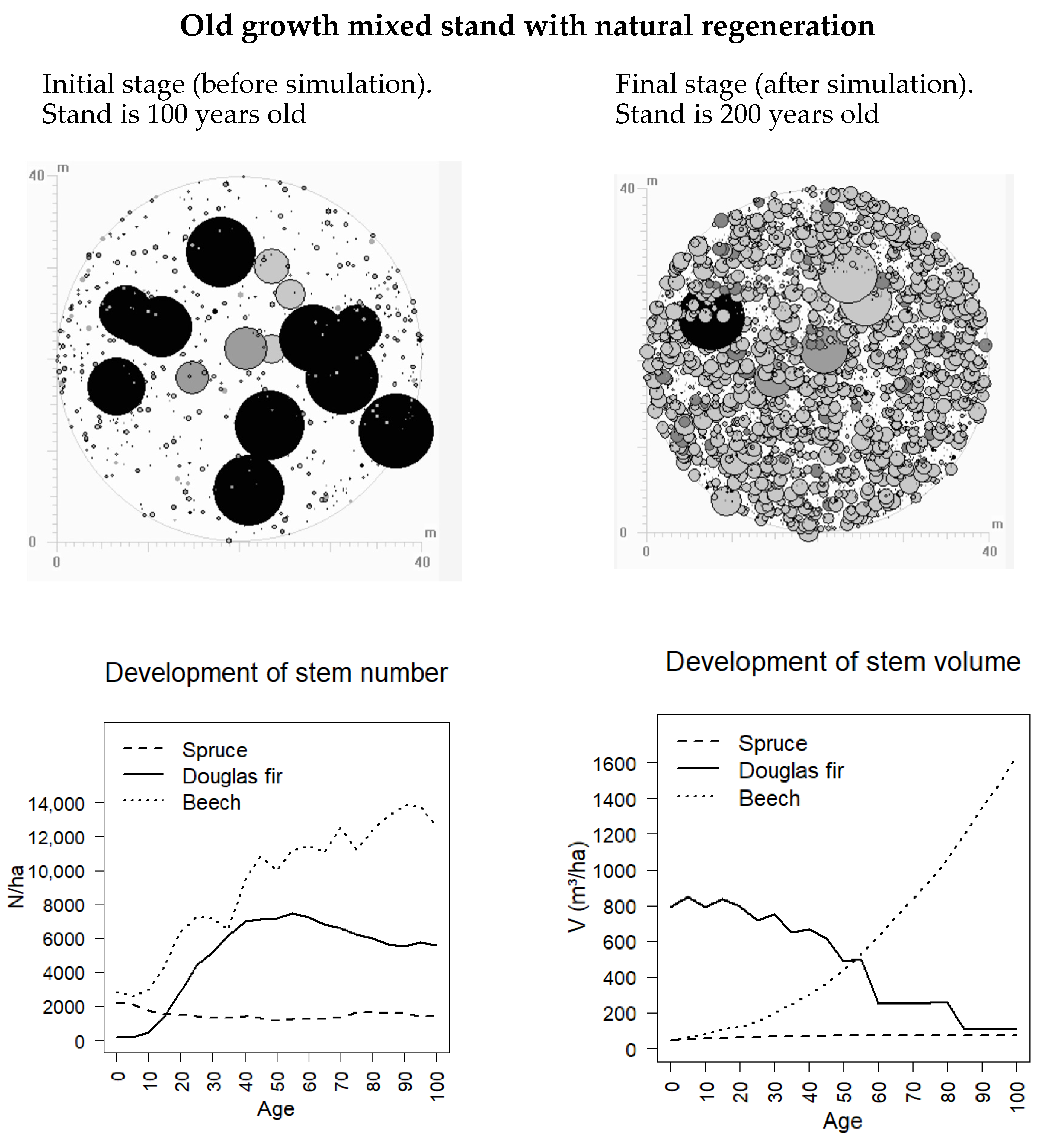 Forests 12 01040 g002