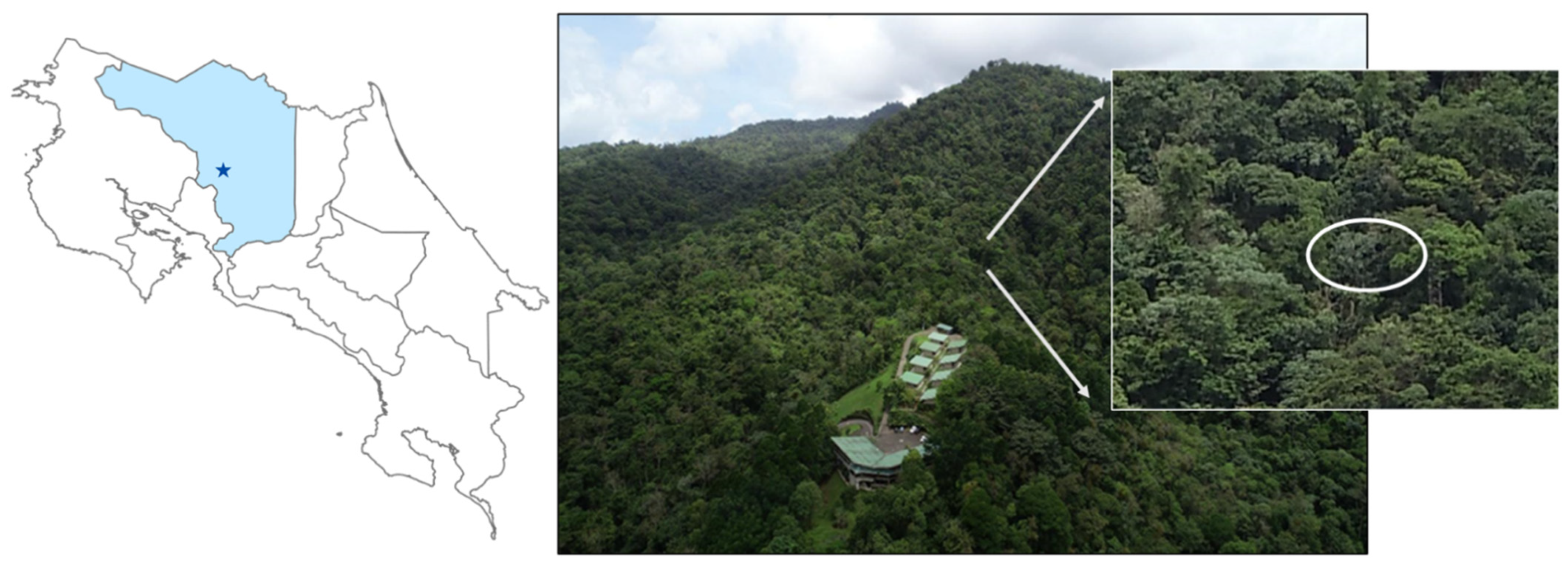 Forests 12 01041 g002