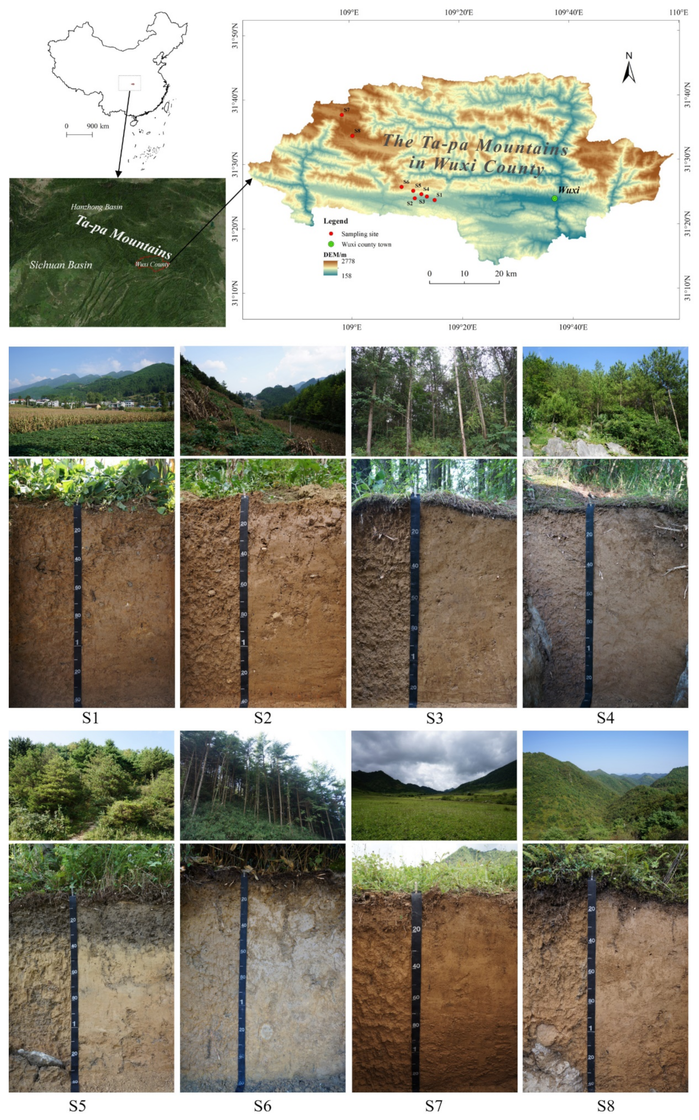 Forests 12 01044 g001