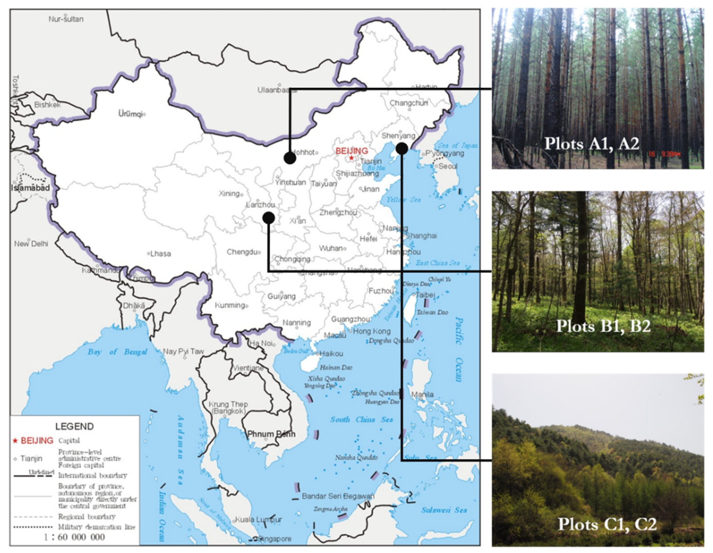 Forests 12 01046 g001