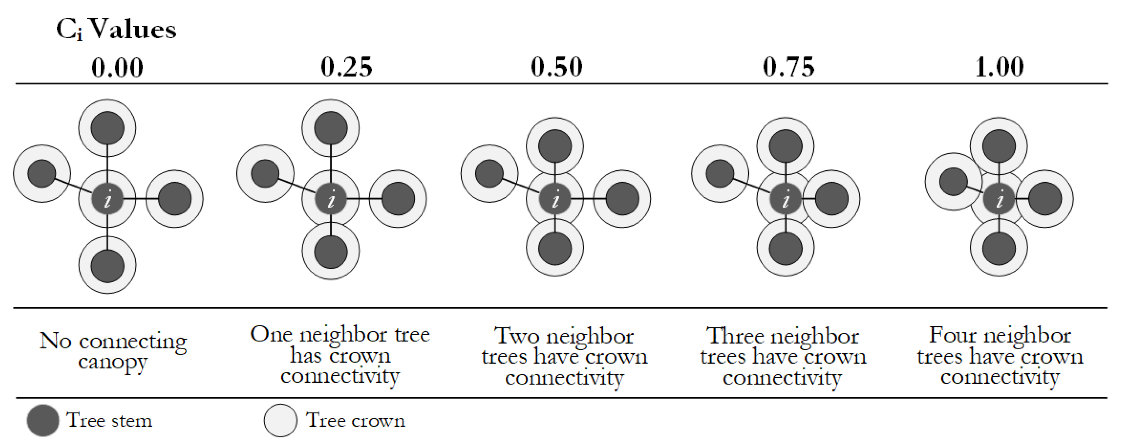 Forests 12 01046 g005