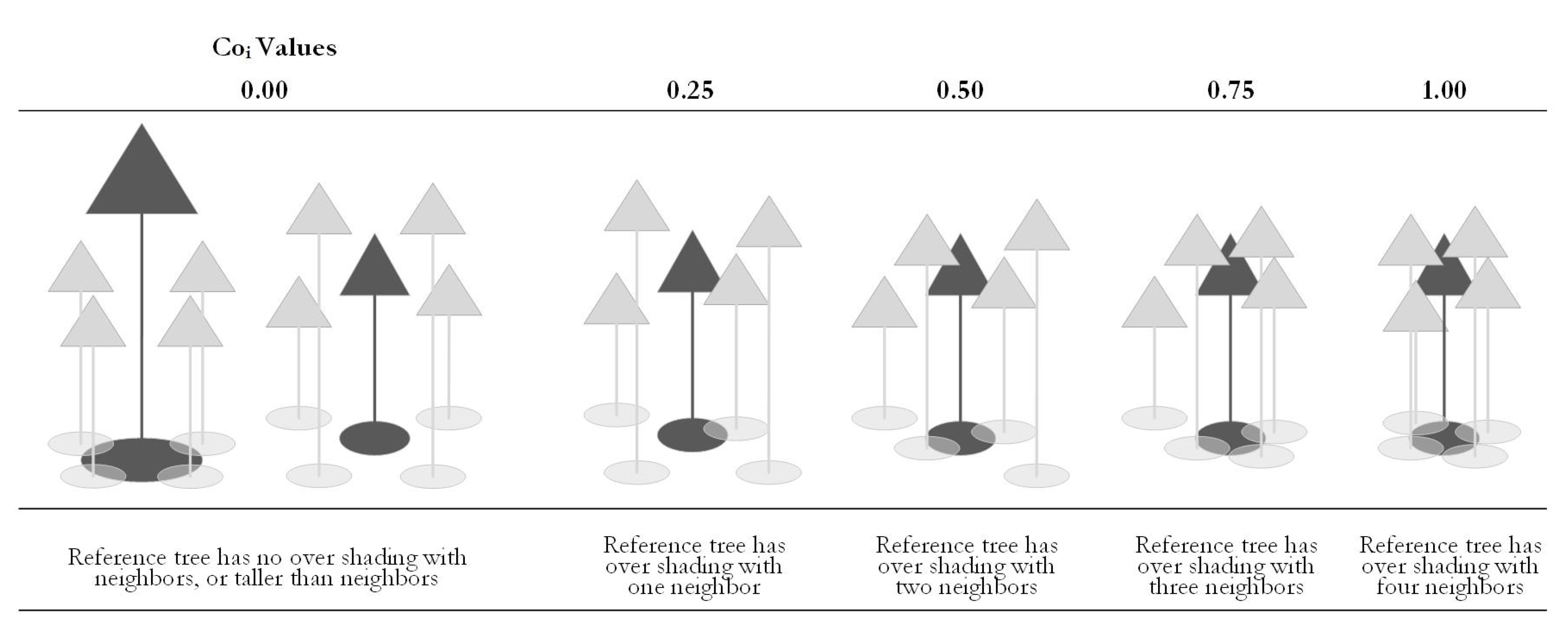 Forests 12 01046 g006