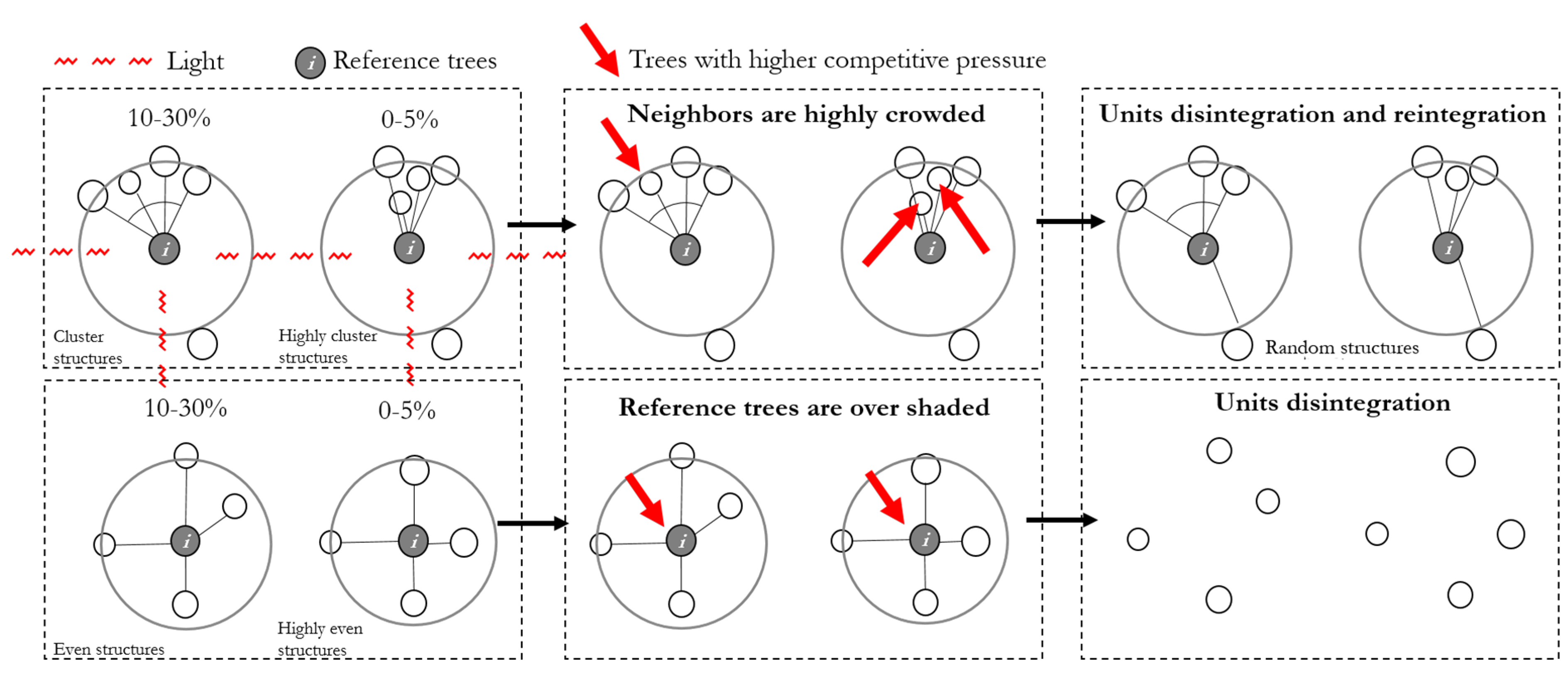 Forests 12 01046 g012