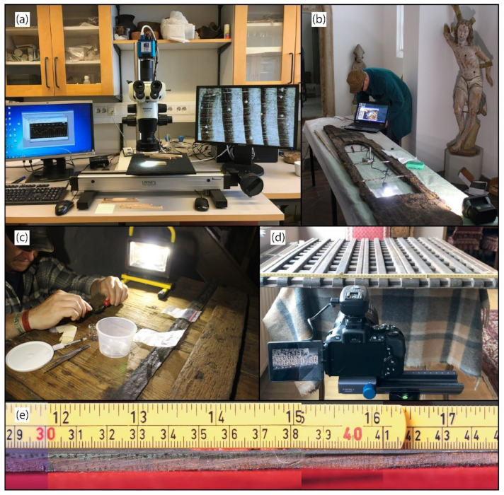 Forests 12 01047 g001