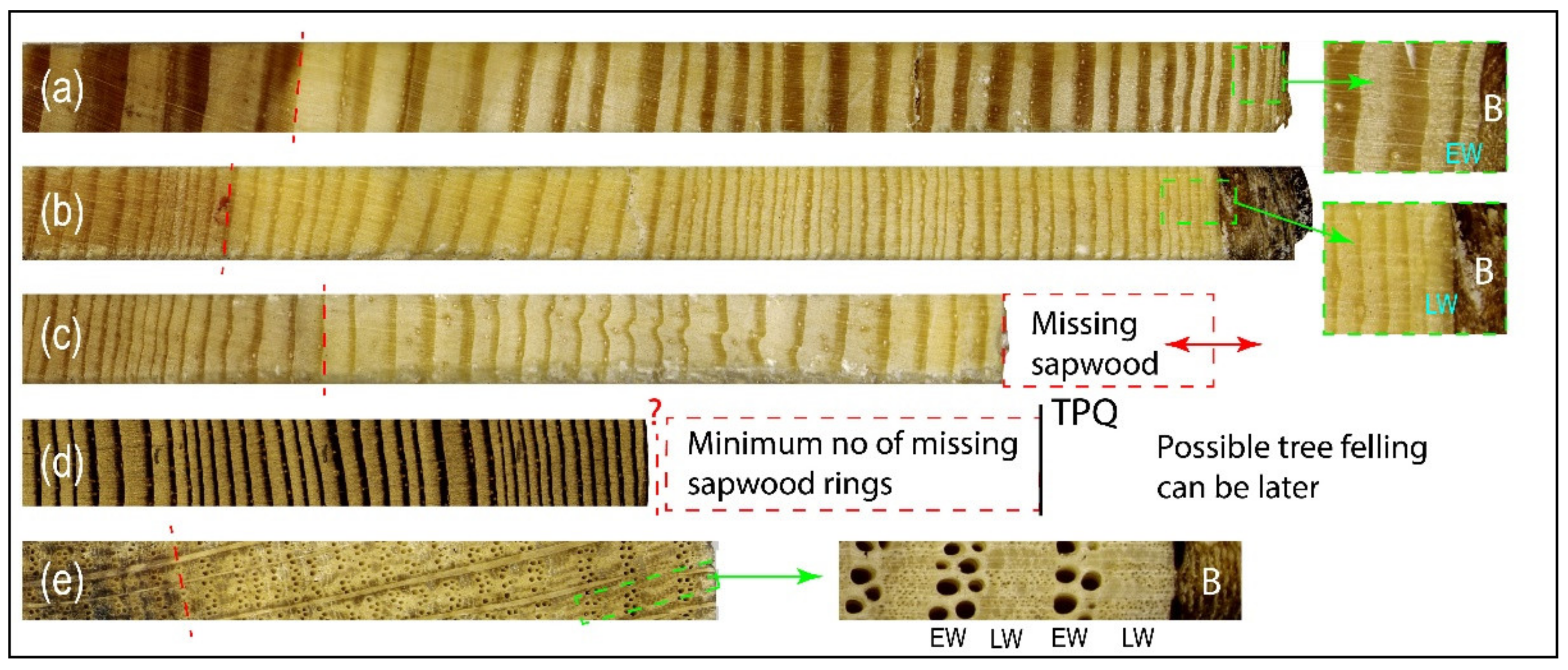Forests 12 01047 g004