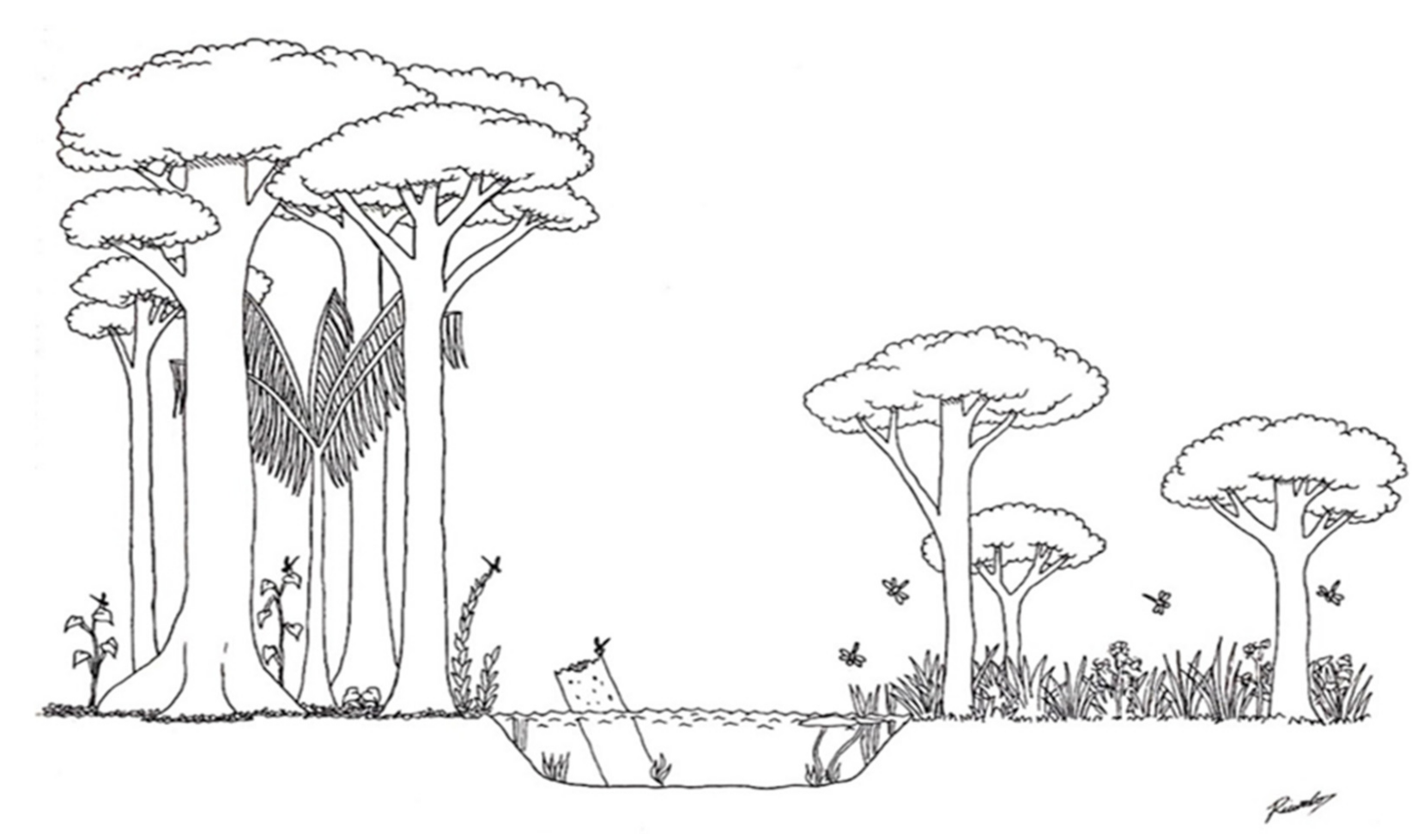 Forests 12 01061 g004 Forests 12 01061 g004