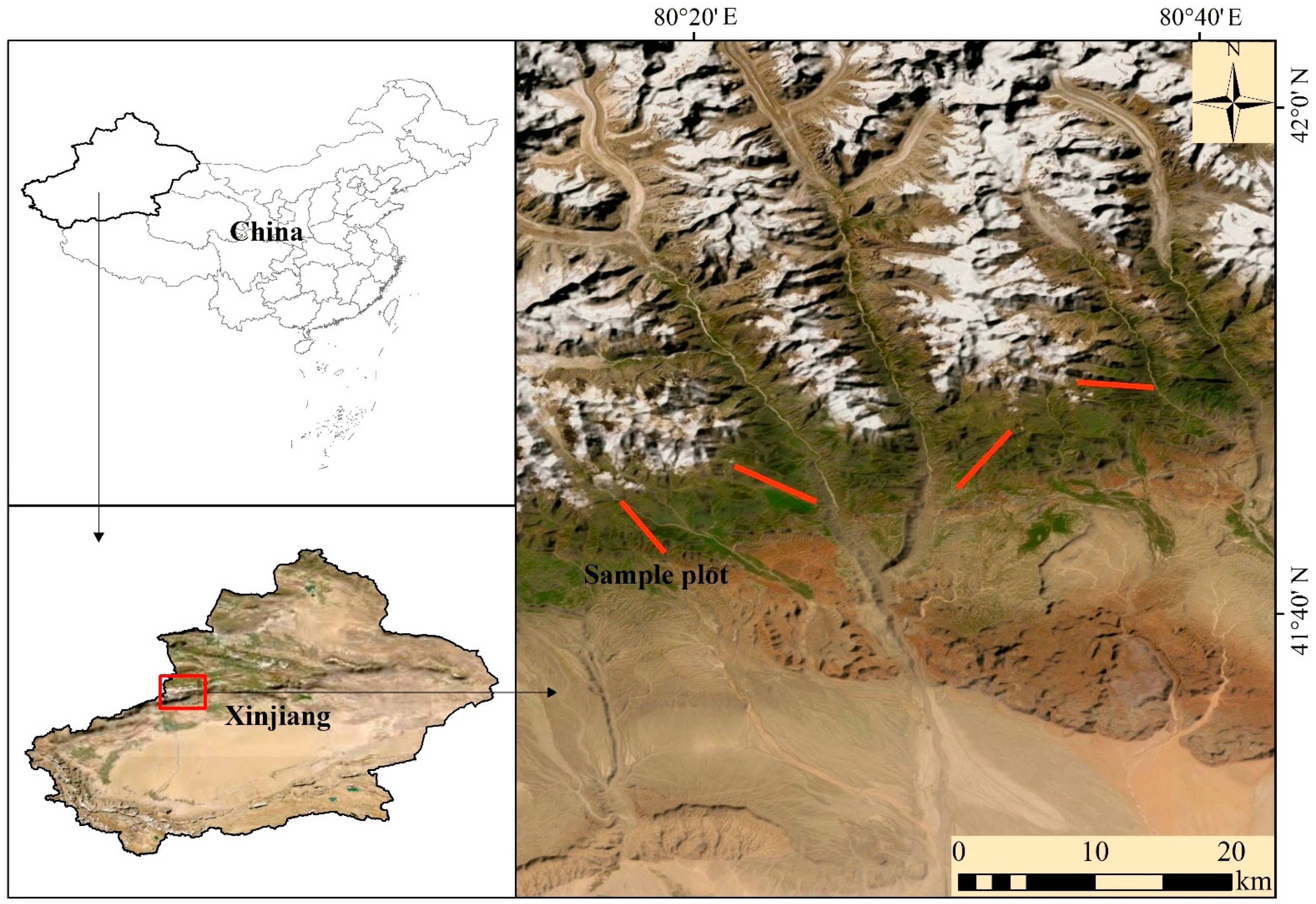Forests 12 01066 g001