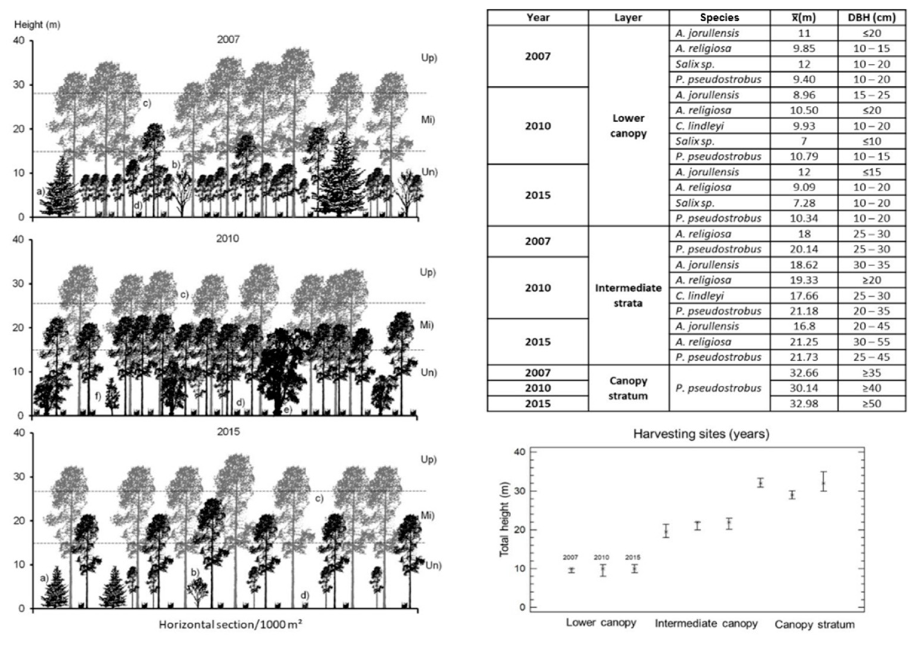 Forests 12 01068 g005