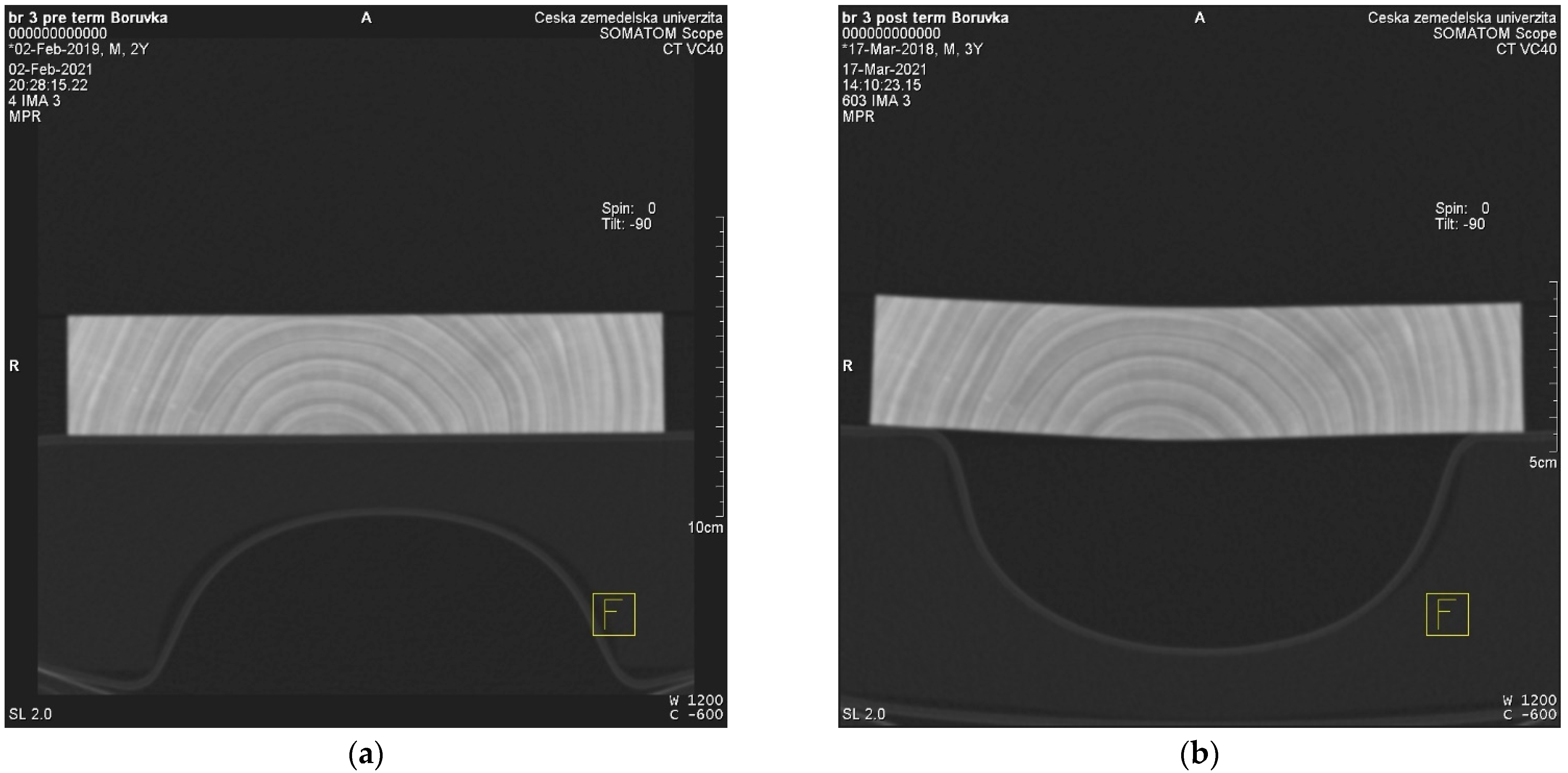 Forests 12 01081 g005a