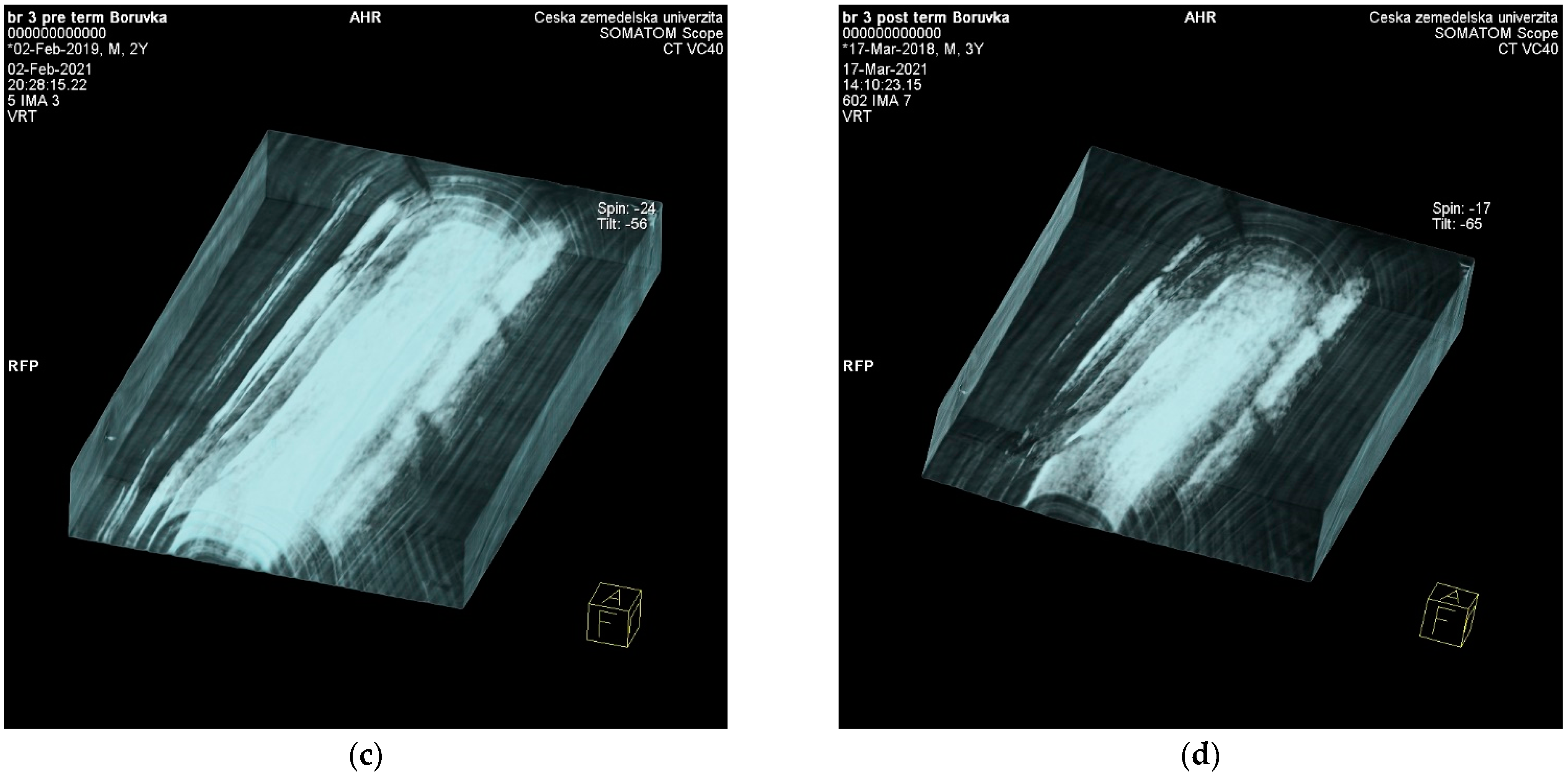 Forests 12 01081 g005b