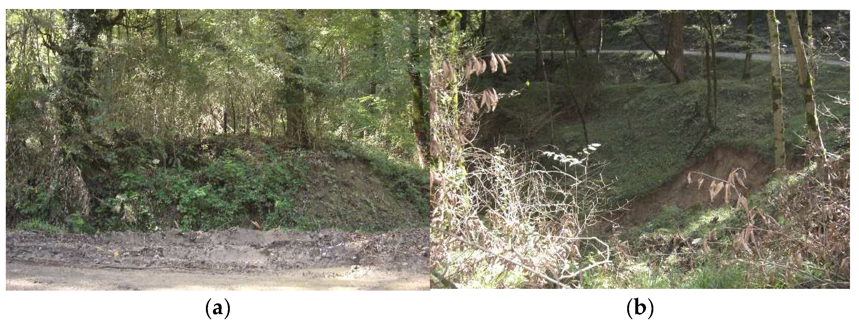 Forests 12 01087 g002