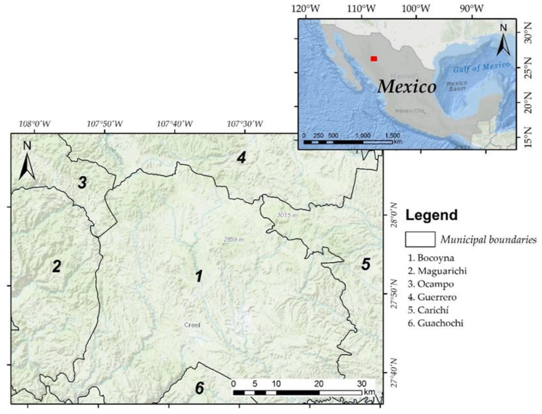 Forests 12 01099 g001