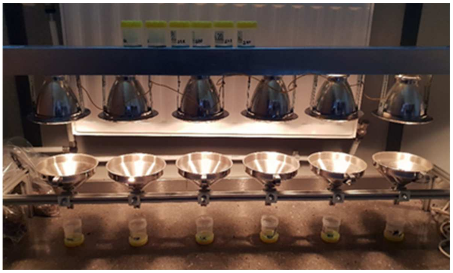 Forests 12 01100 g002