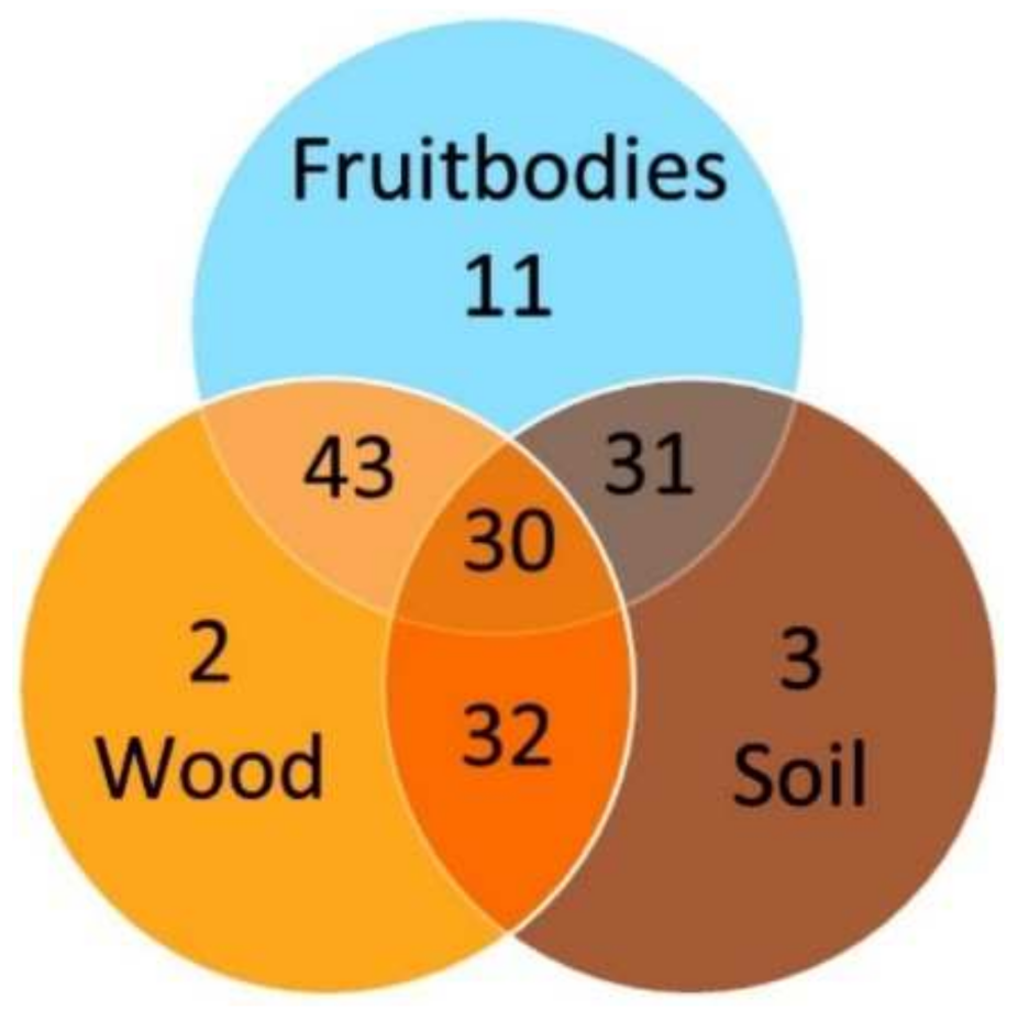 Forests 12 01100 g004