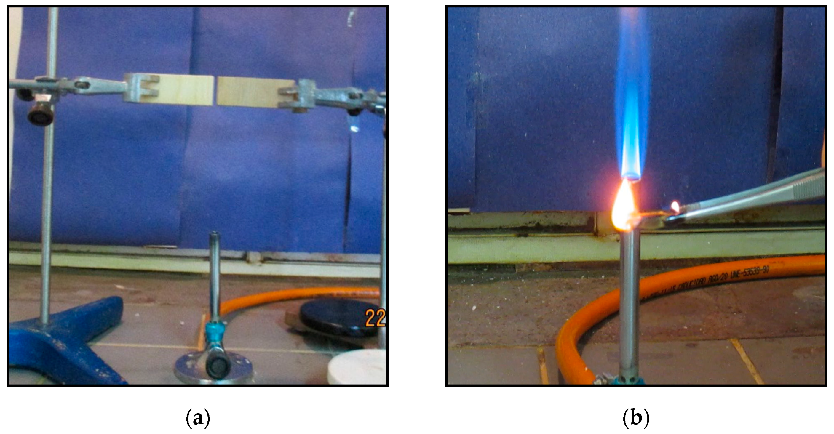 Forests 12 01102 g001