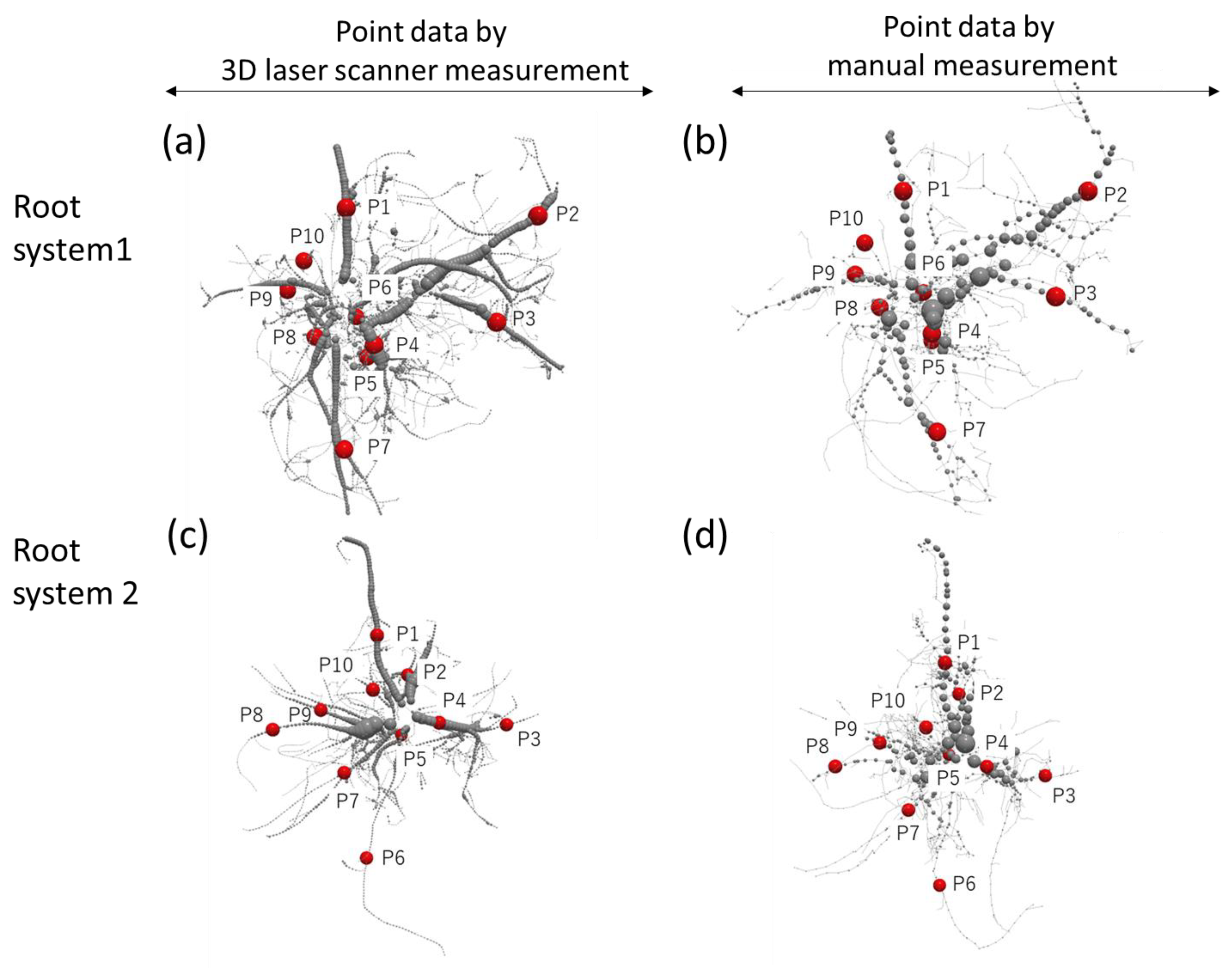 Forests 12 01117 g005