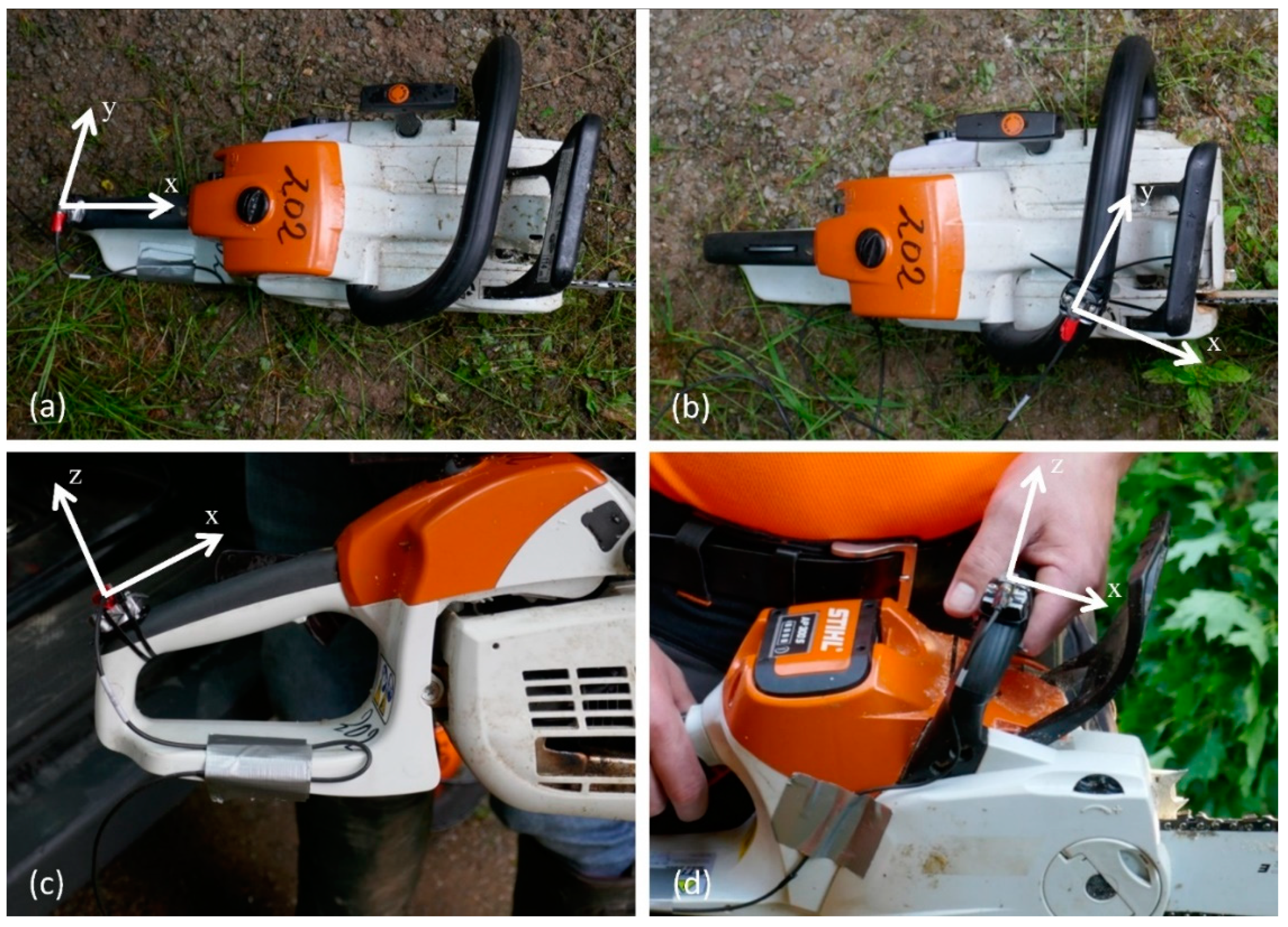 Forests 12 01120 g001