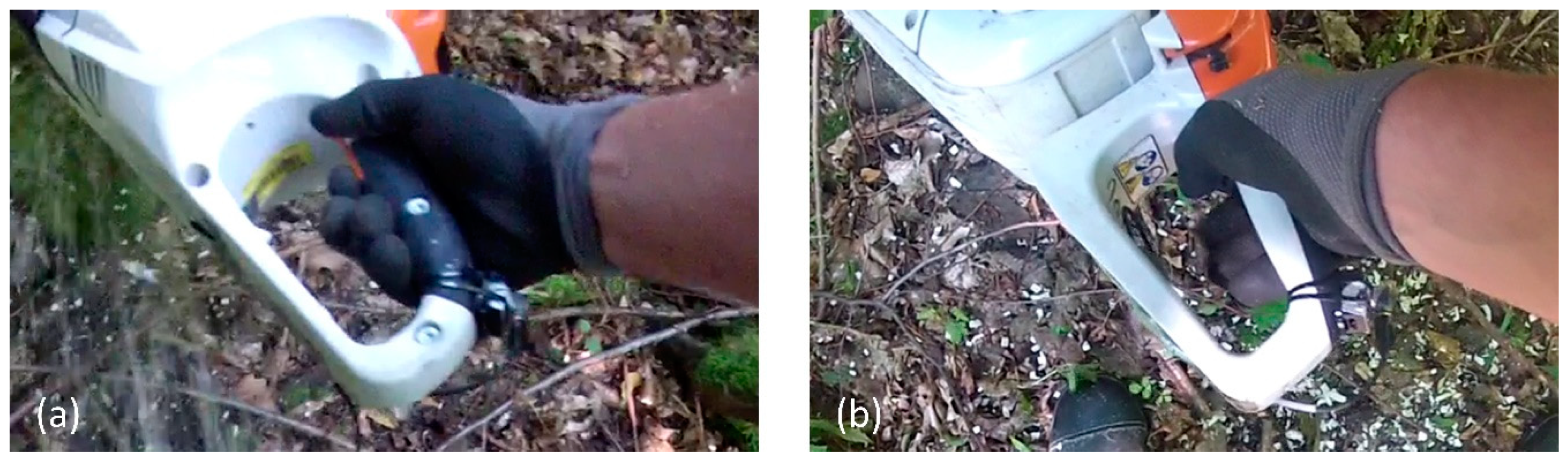 Forests 12 01120 g005