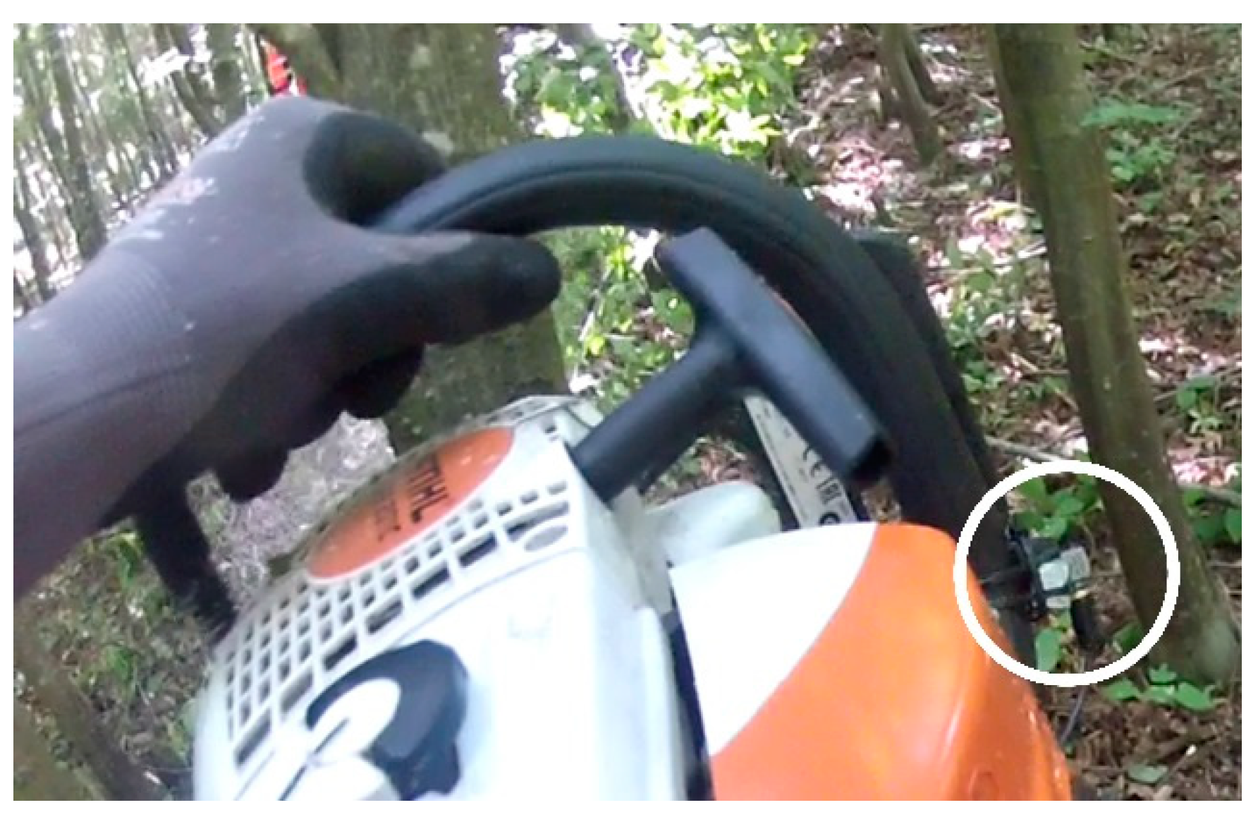 Forests 12 01120 g007