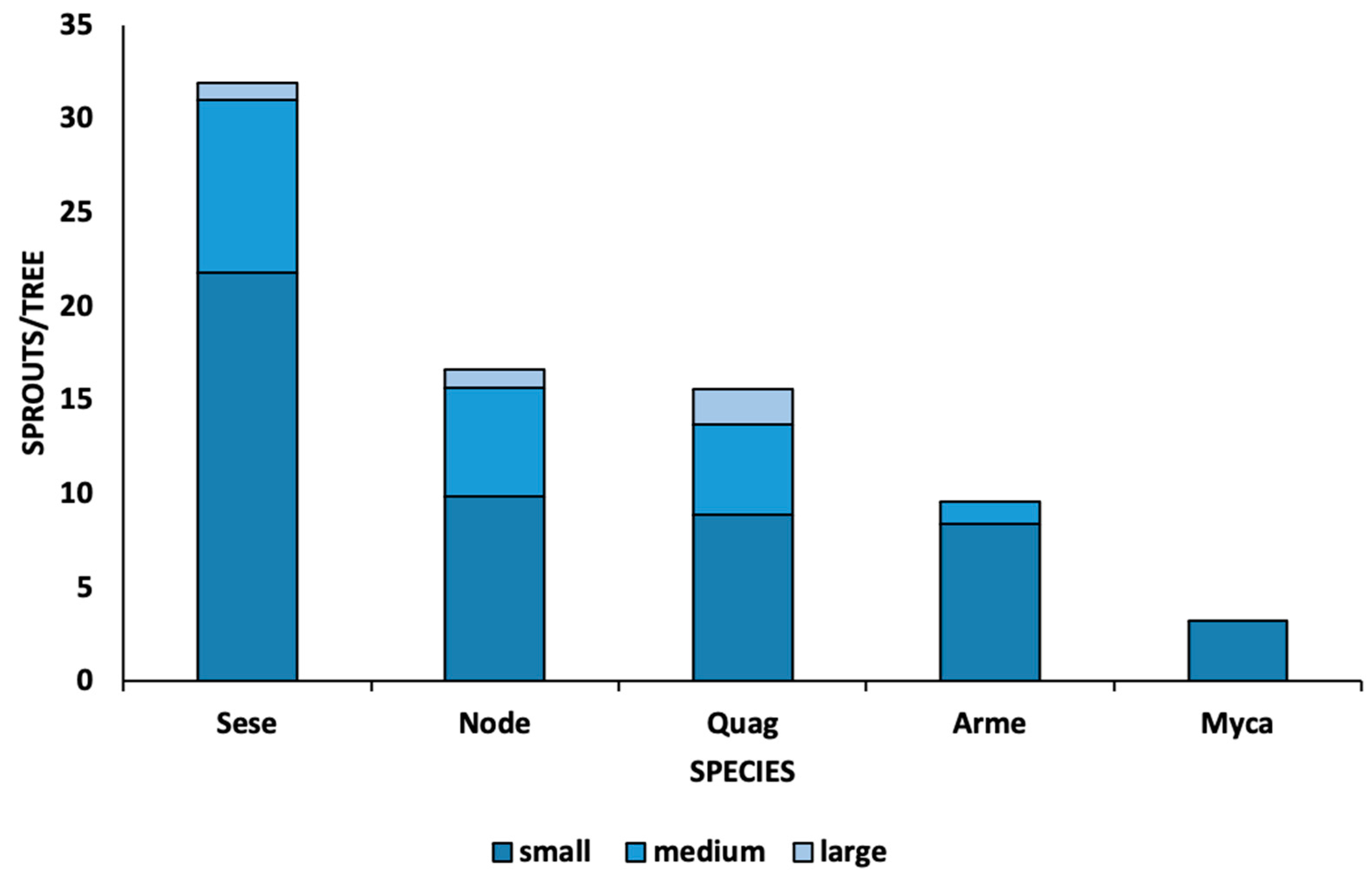 Forests 12 01135 g002