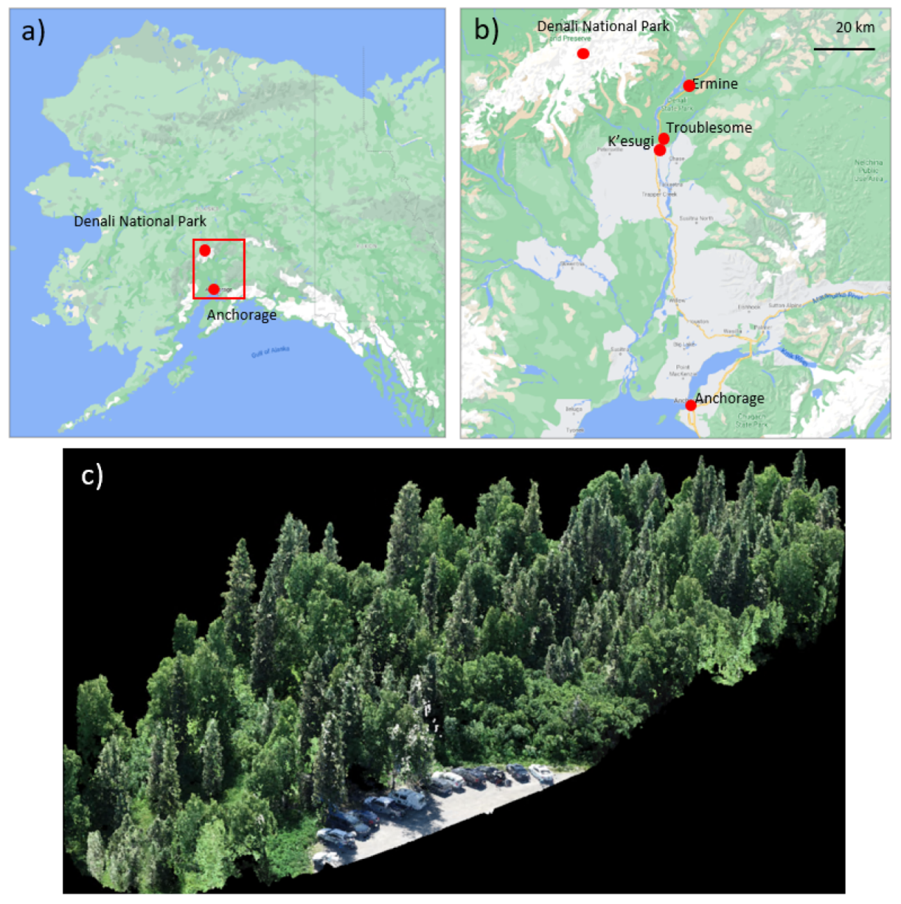Forests 12 01145 g001