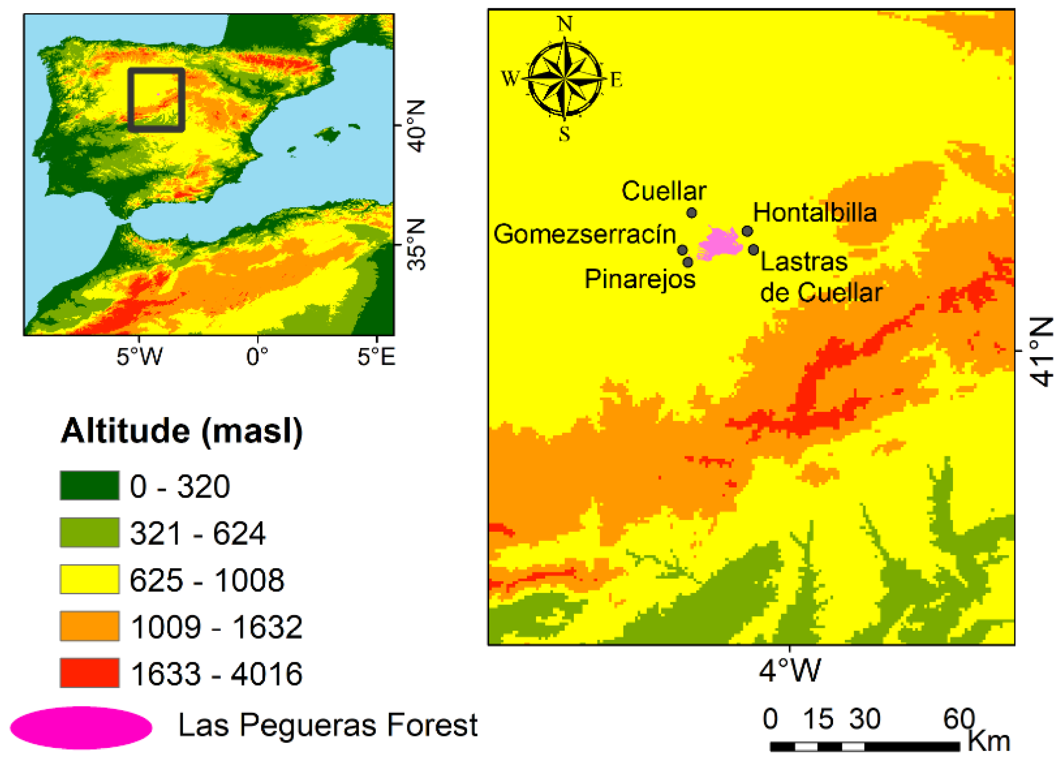 Forests 12 01151 g001