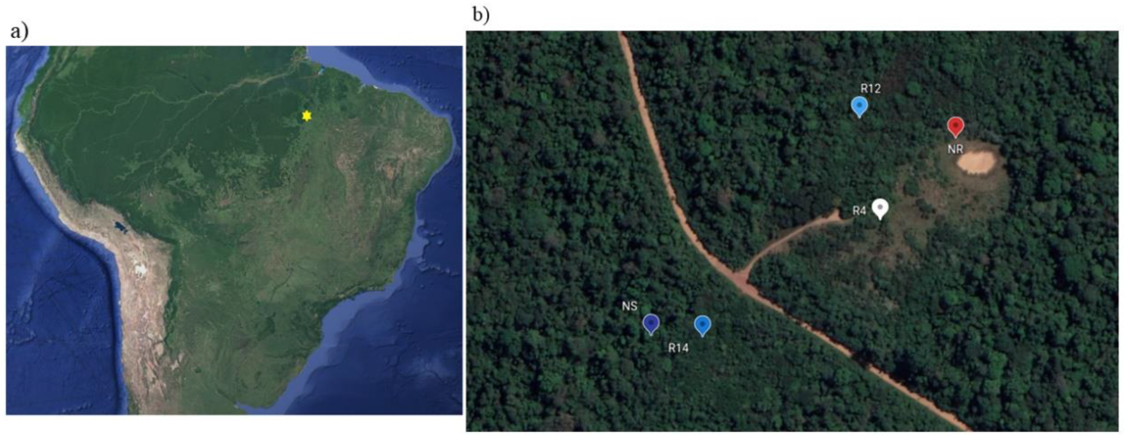Forests 12 01158 g001