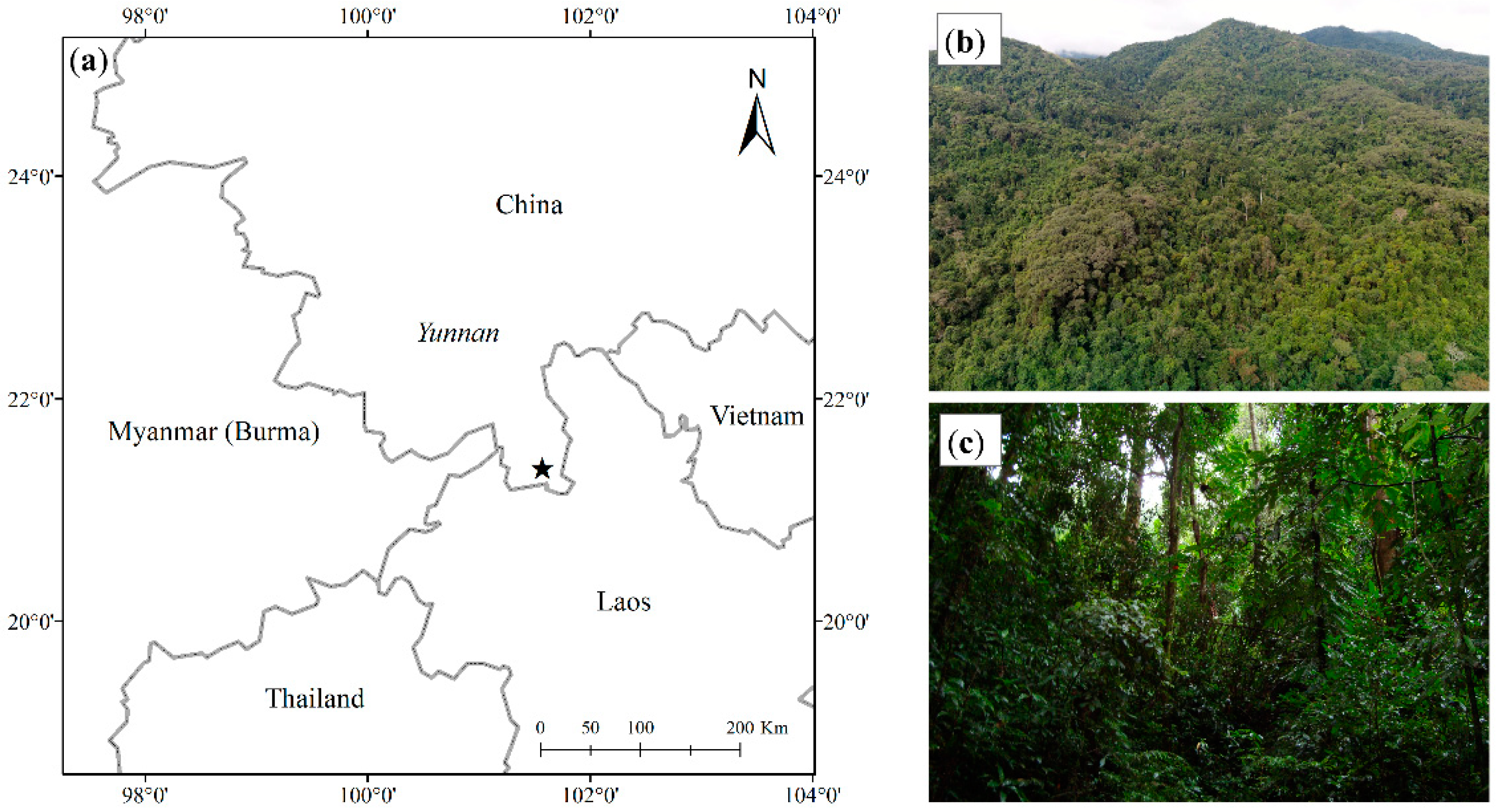 Forests 12 01159 g001
