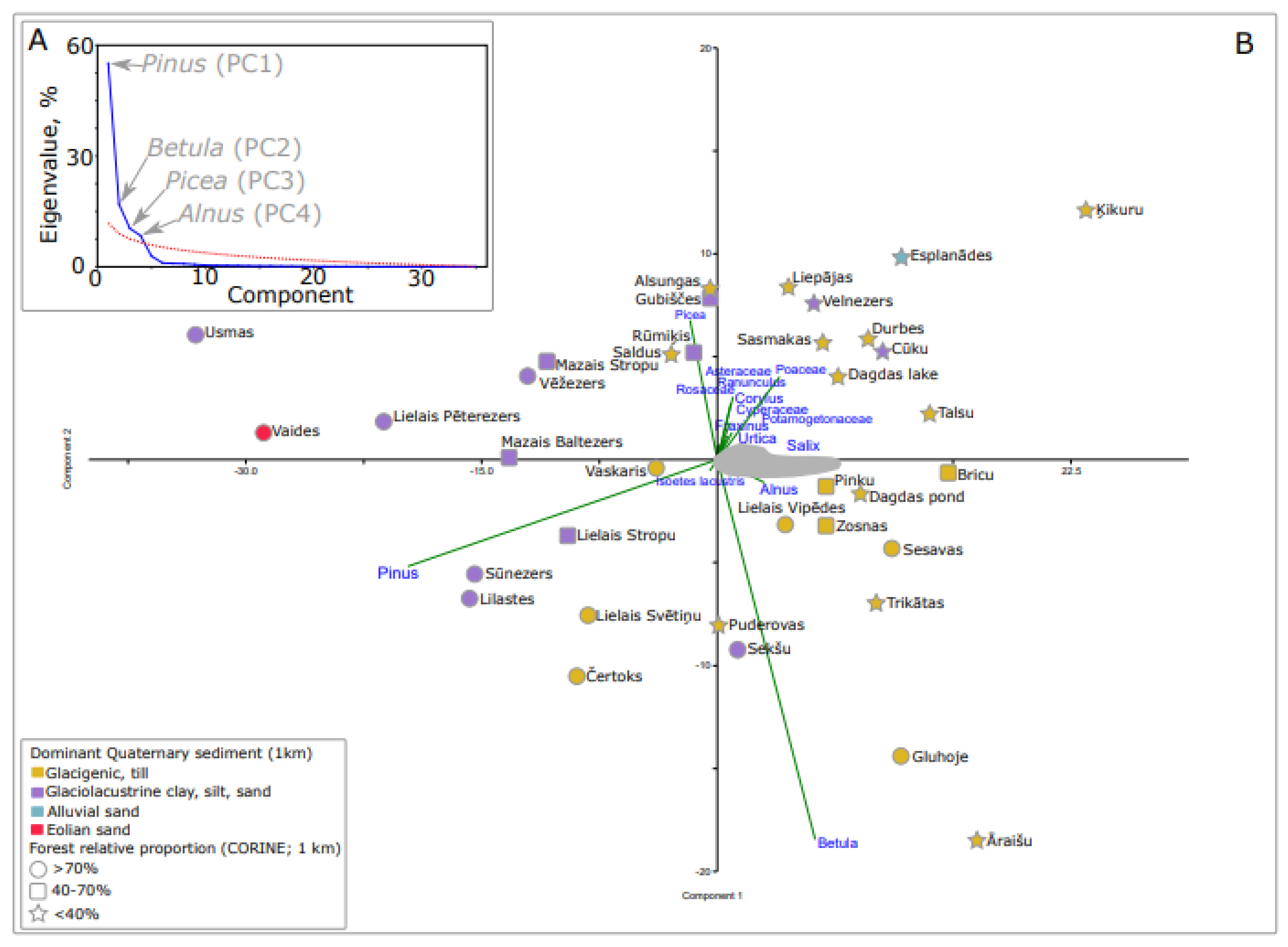 Forests 12 01166 g005
