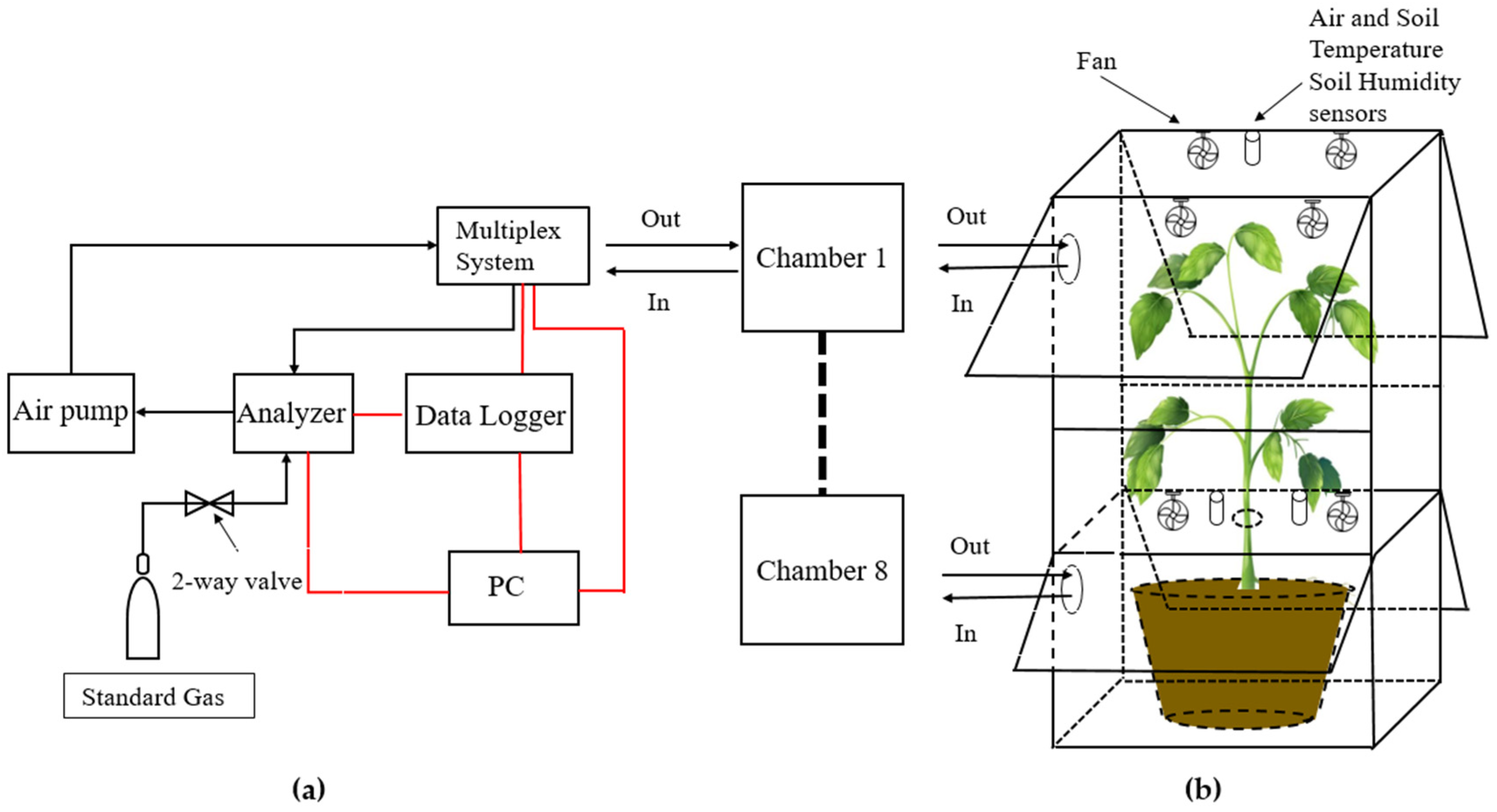 Forests 12 01170 g001