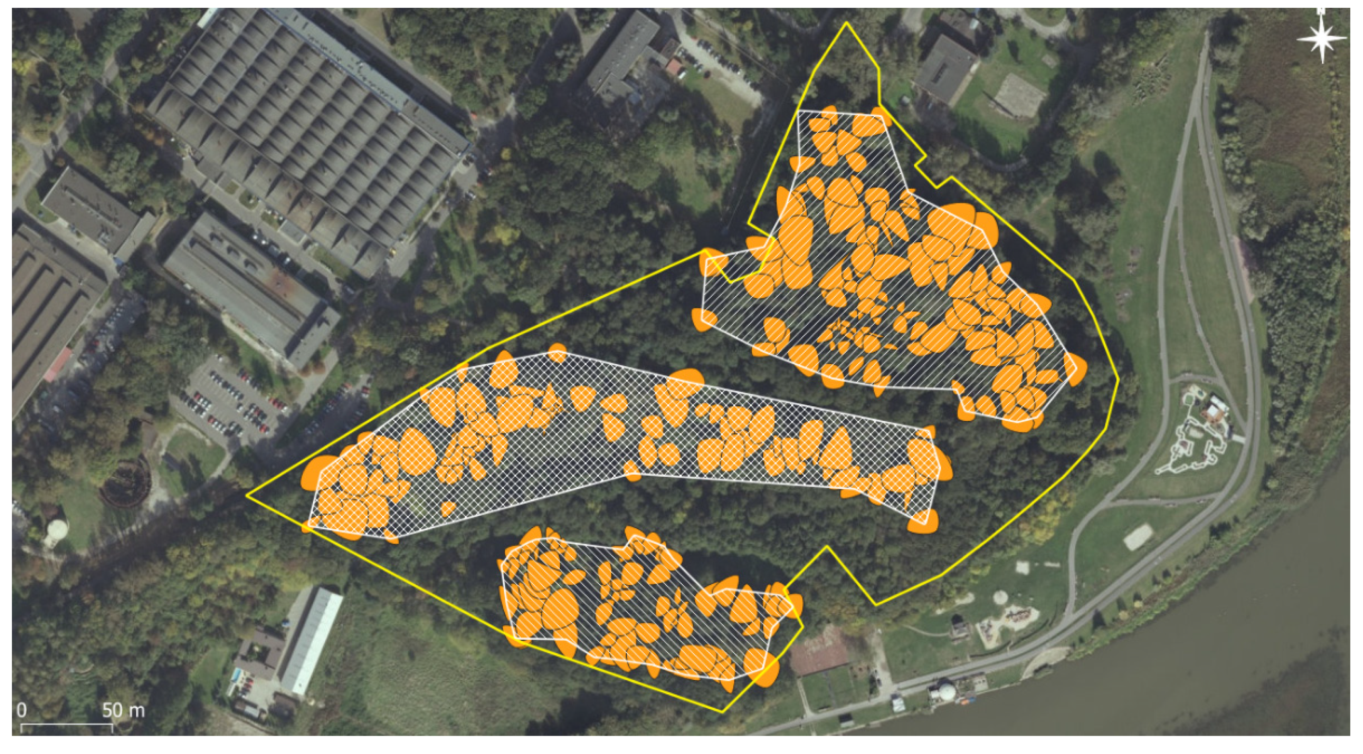 Forests 12 01173 g002