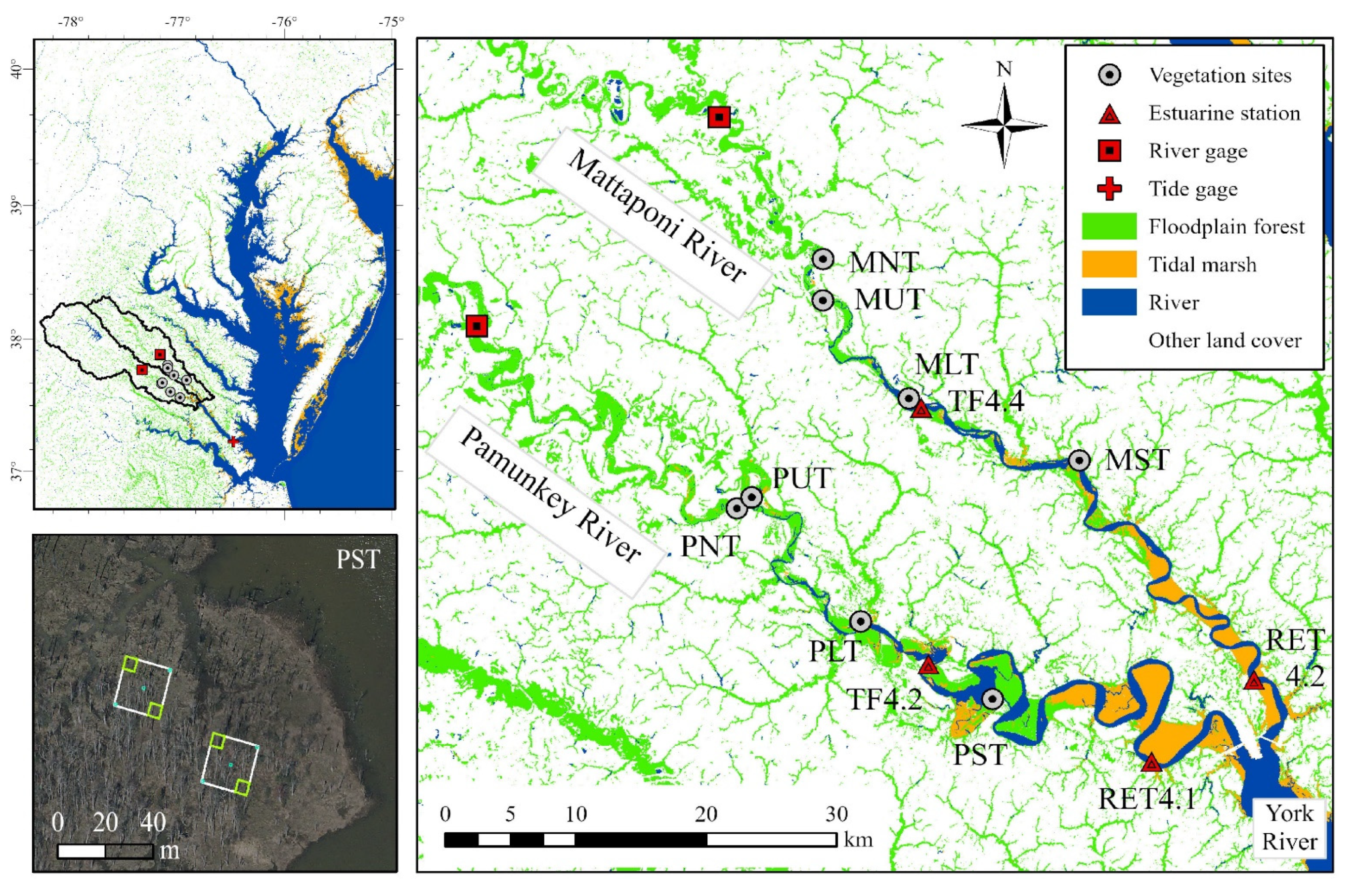 Forests 12 01182 g001 Forests 12 01182 g001