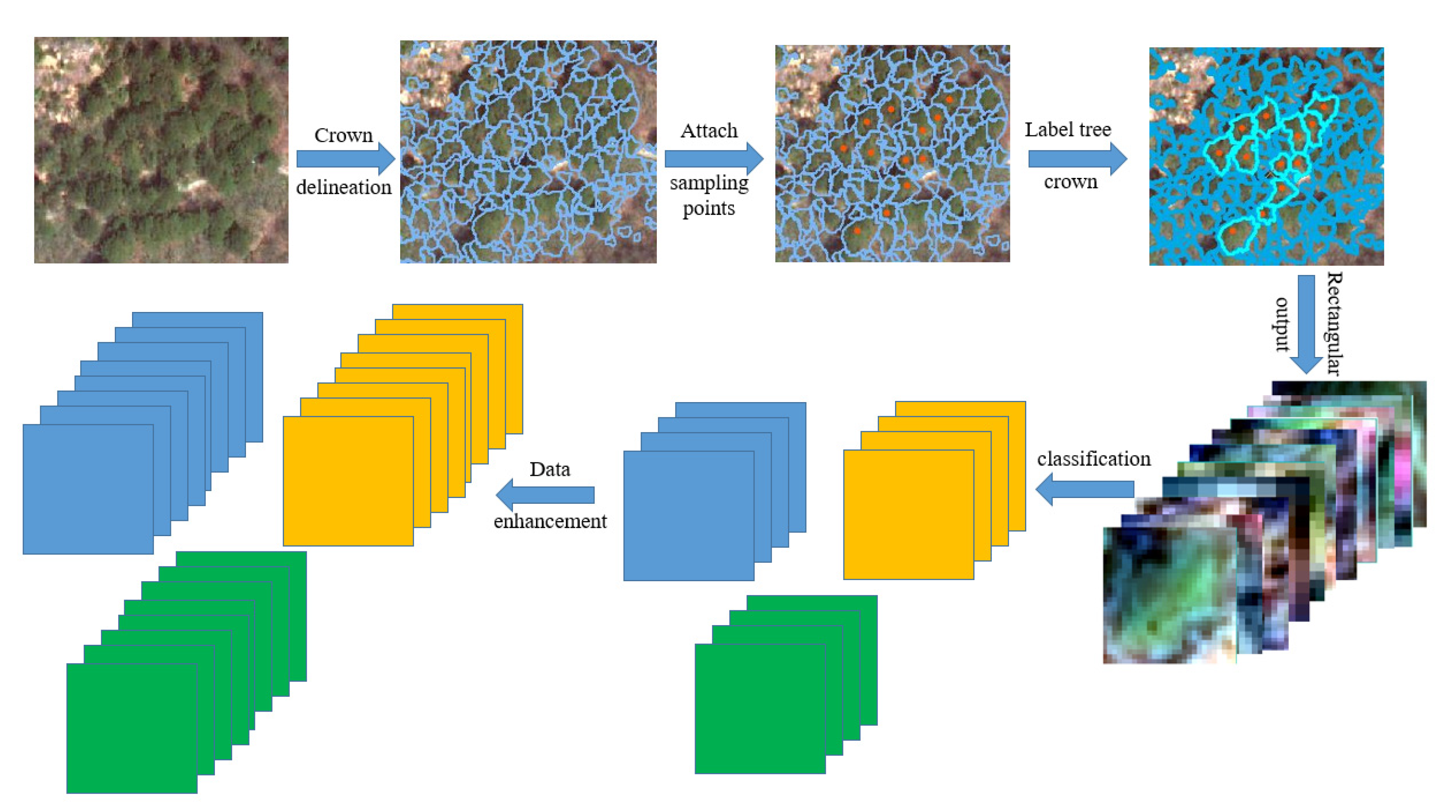 Forests 12 01202 g004