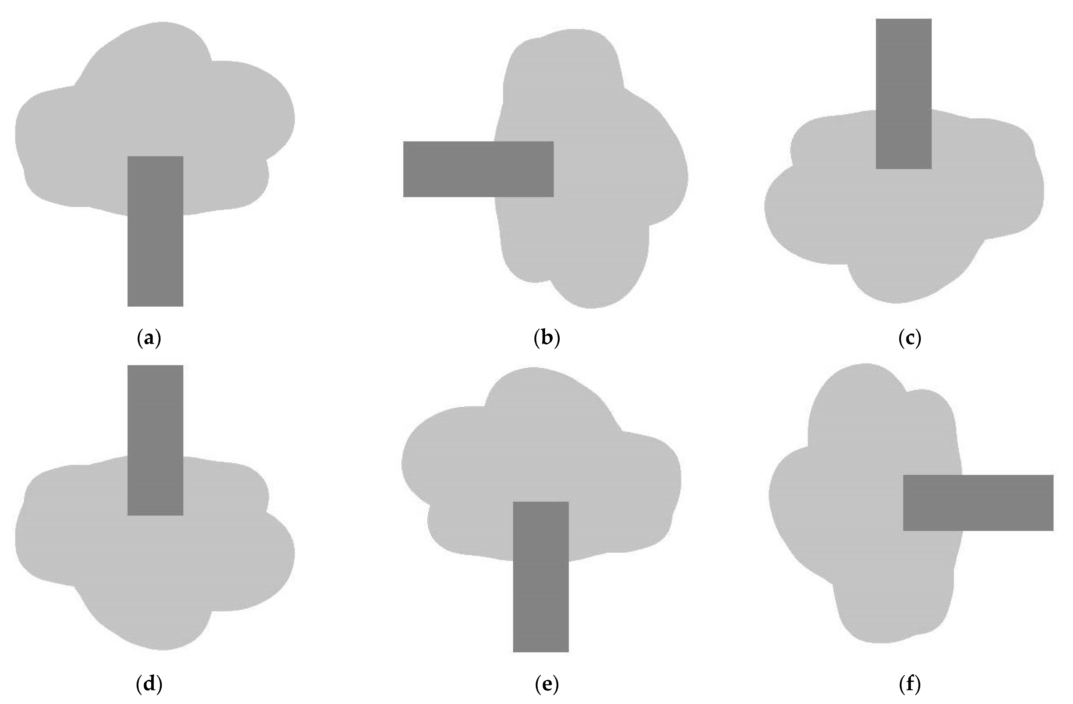 Forests 12 01202 g005