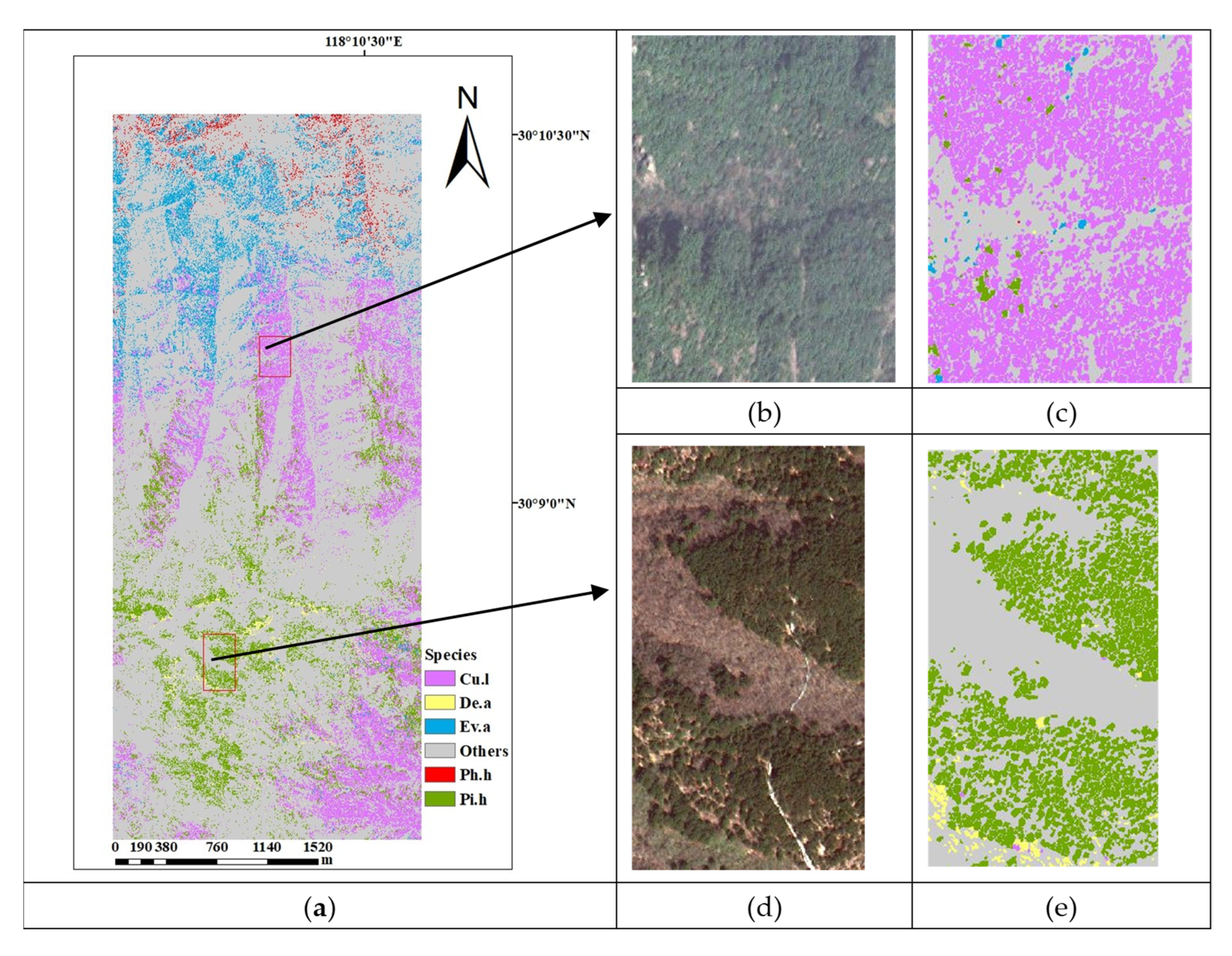 Forests 12 01202 g010