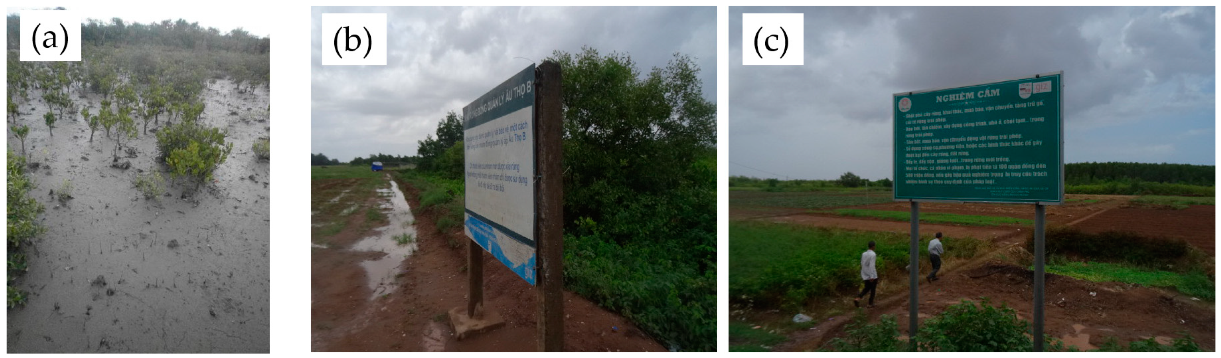 Forests 12 01204 g001