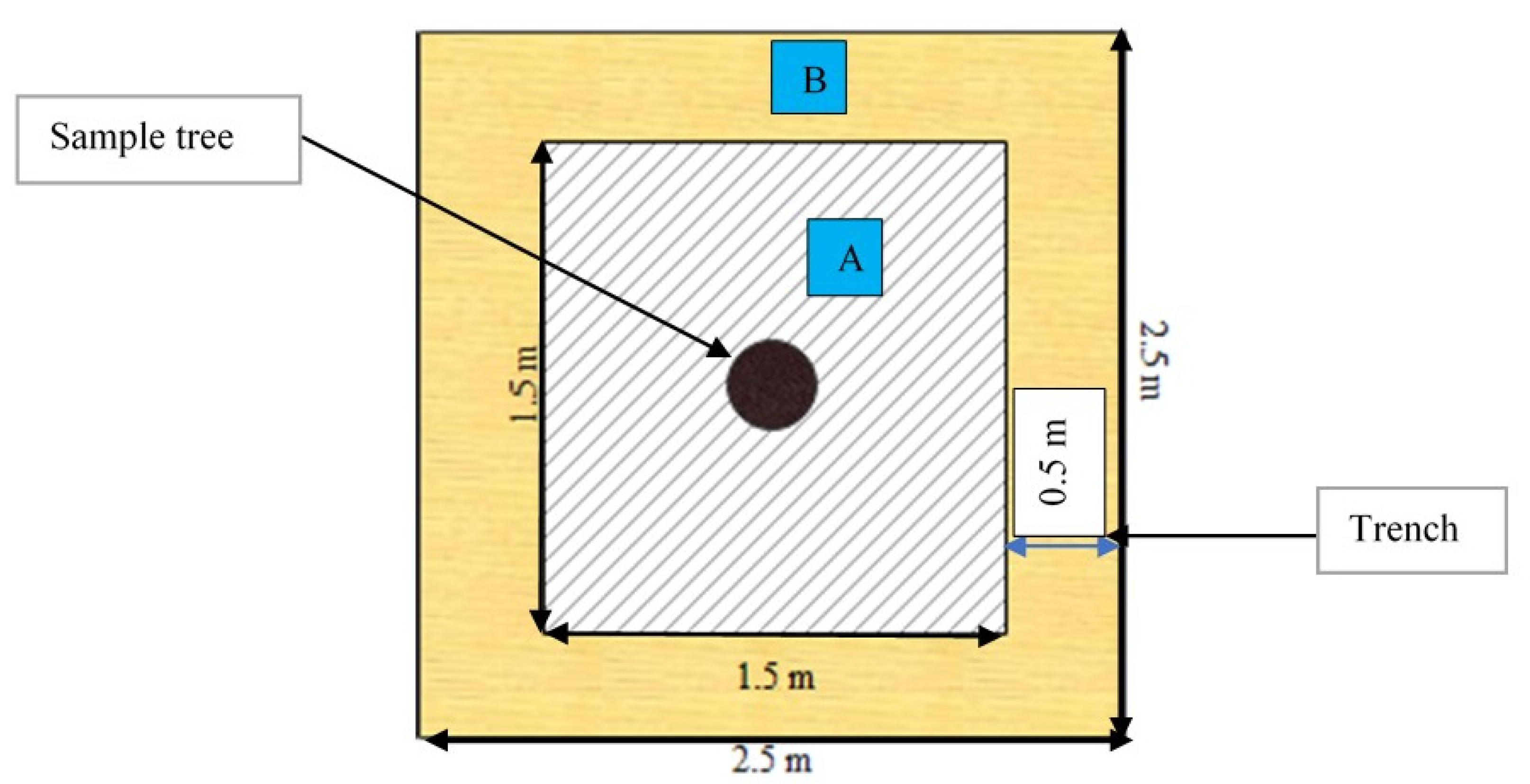 Forests 12 01210 g003